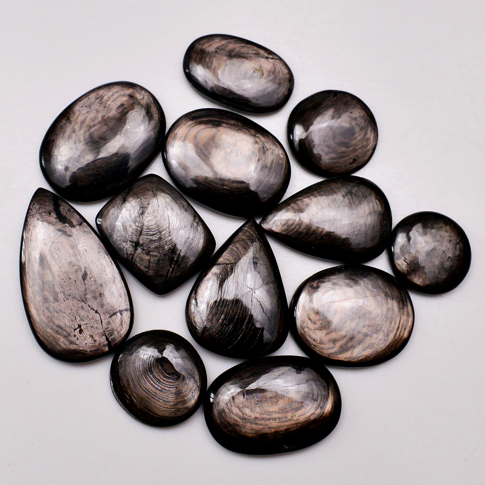 12 Pcs 259 Cts Natural Hypersthene Gemstone Cabochon Lot 35X20 16X16mm 18943