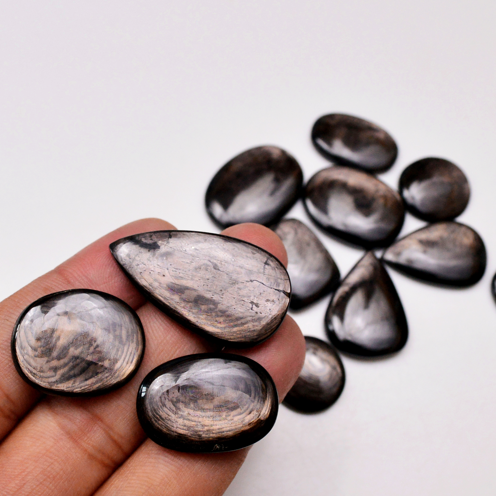 12 Pcs 259 Cts Natural Hypersthene Gemstone Cabochon Lot 35X20 16X16mm 18943