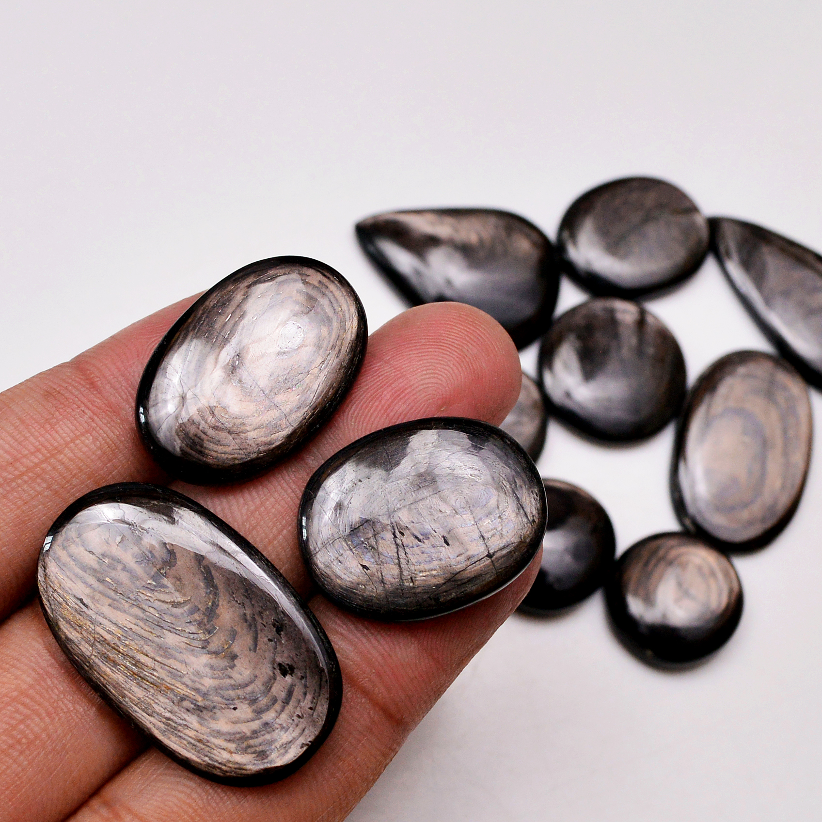 11 Pcs 205 Cts Natural Hypersthene Gemstone Cabochon Lot 32X20 16X16mm 18948