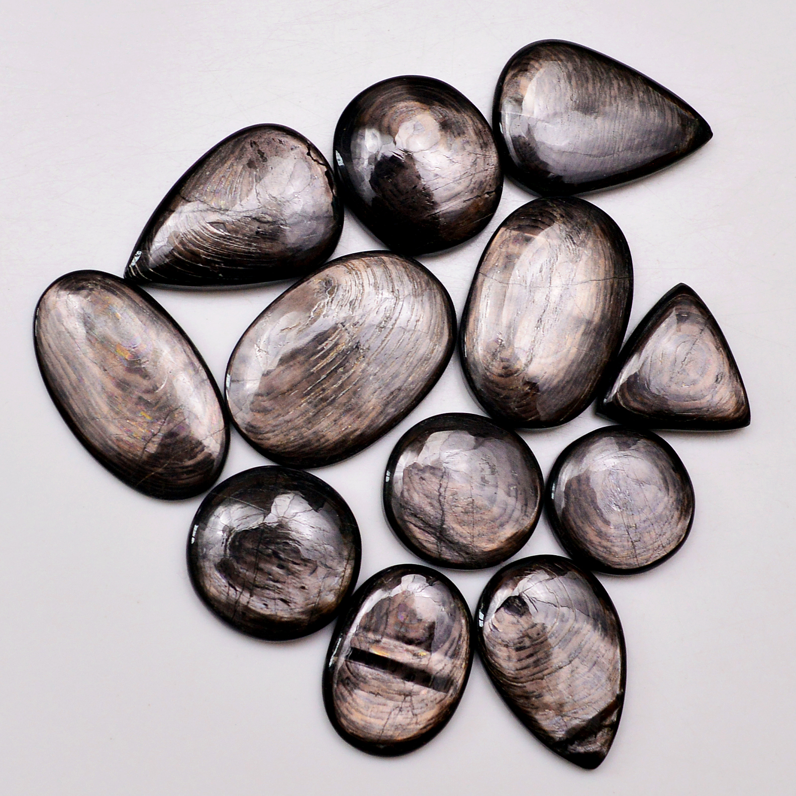 12 Pcs 240 Cts Natural Hypersthene Gemstone Cabochon Lot 29X17 17X17mm 18949