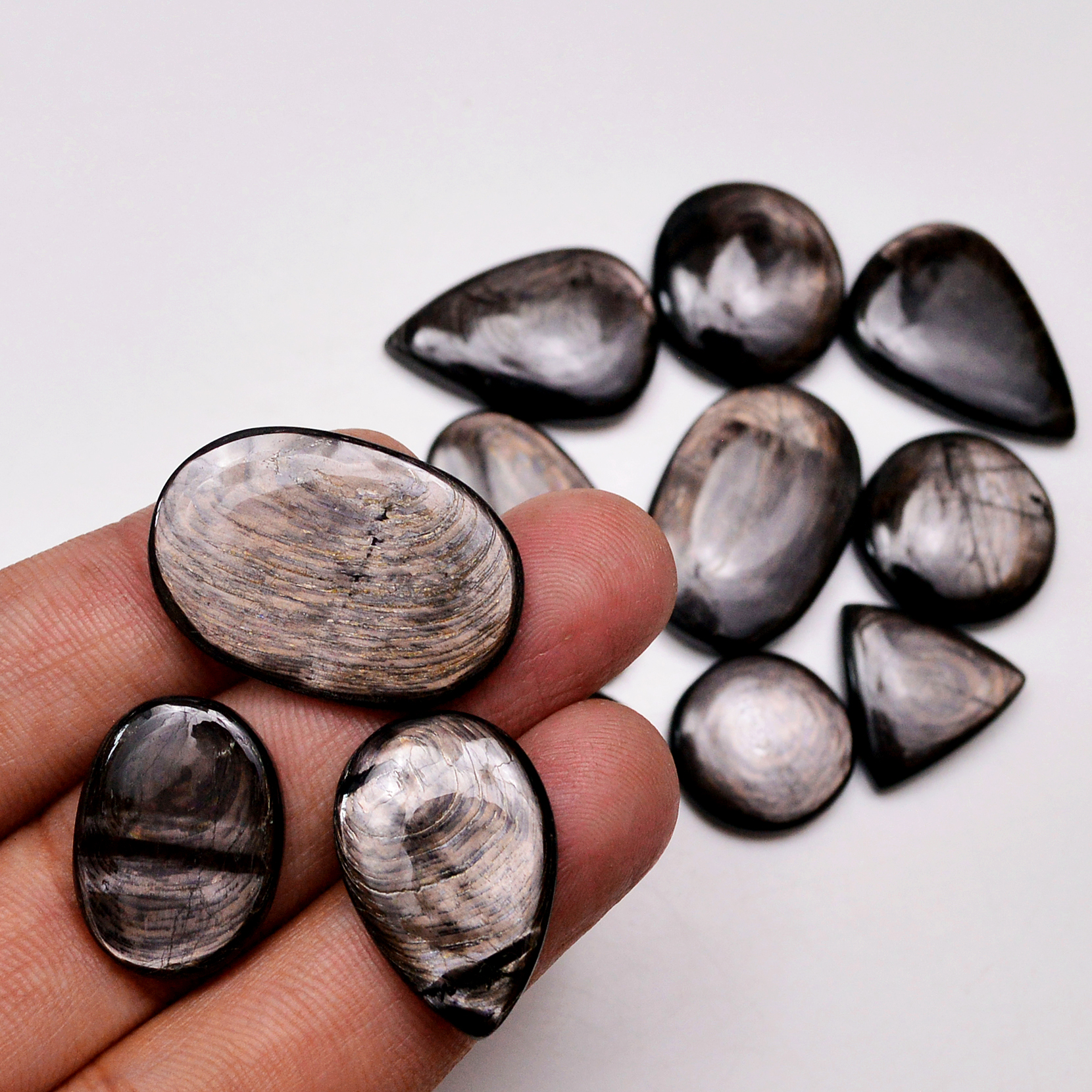 12 Pcs 240 Cts Natural Hypersthene Gemstone Cabochon Lot 29X17 17X17mm 18949