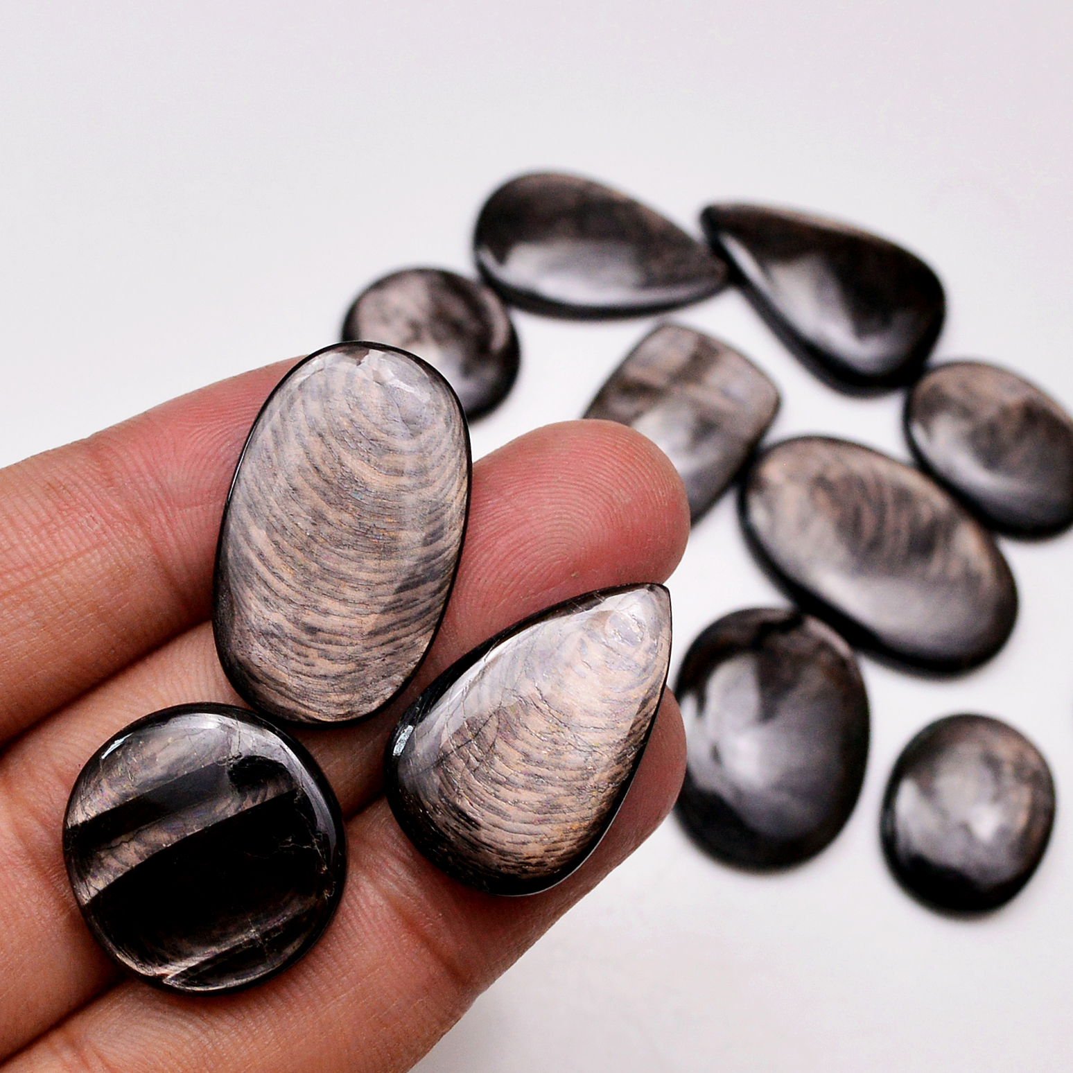 12 Pcs 210 Cts Natural Hypersthene Gemstone Cabochon Lot 30X18 17X17mm 18950