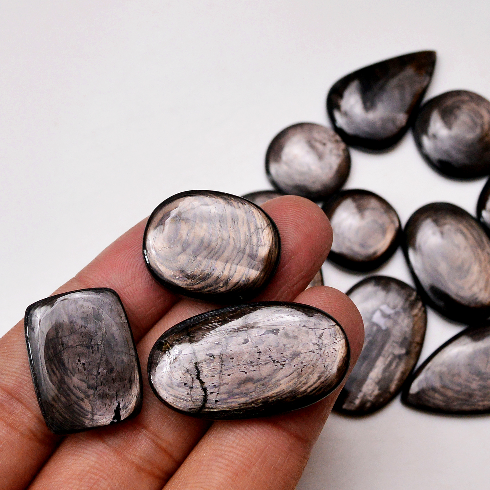 12 Pcs 288 Cts Natural Hypersthene Gemstone Cabochon Lot 33X18 18X18mm 18954