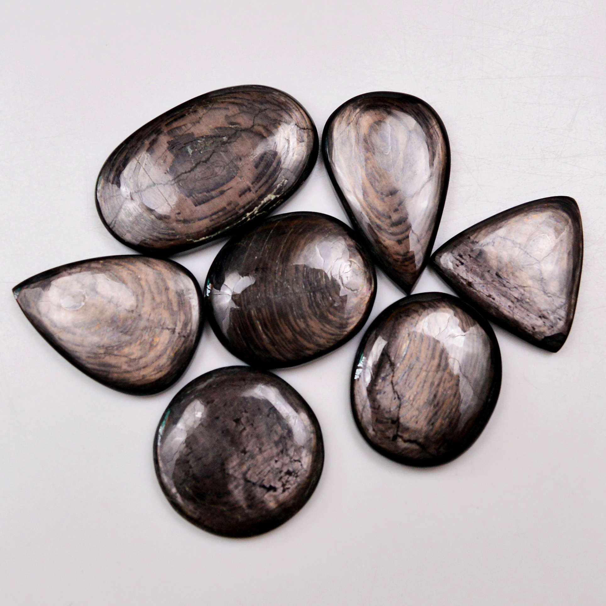 7 Pcs 241 Cts Natural Hypersthene Gemstone Cabochon Lot 36x21 23x22mm 18979