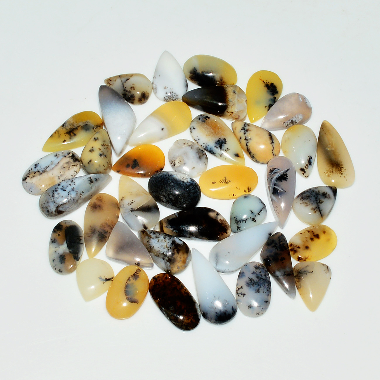 38 Piece 735Cts Natural Dendrite Agate Cabochon Gemstone lot 14x5 5x5mm 19180