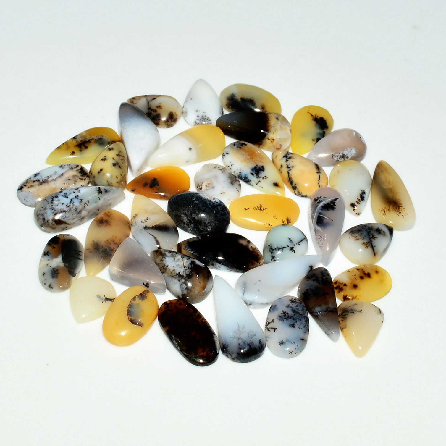 38 Piece 735Cts Natural Dendrite Agate Cabochon Gemstone lot 14x5 5x5mm 19180