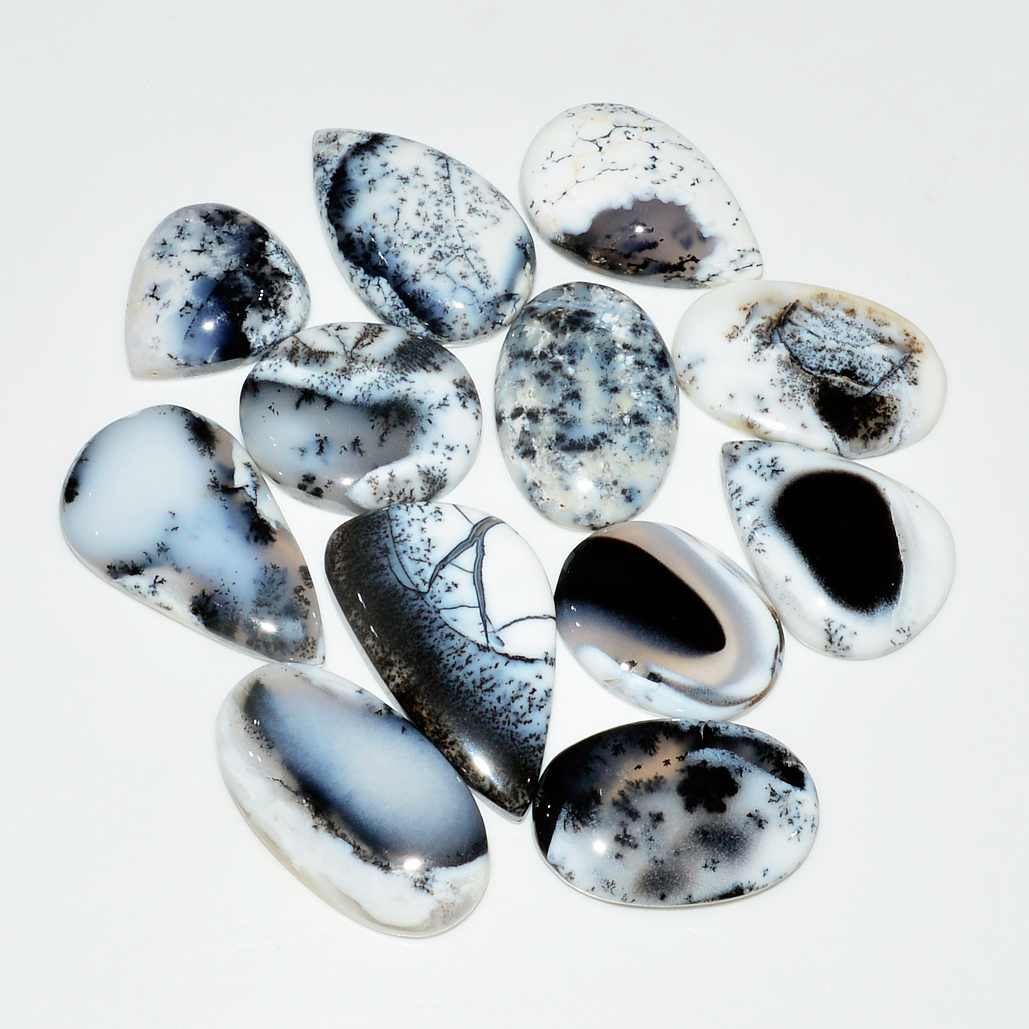 12Piece250CtsNatural Dendrite Agate Cabochon Gemstone lot 341x18  18x16mm 19186