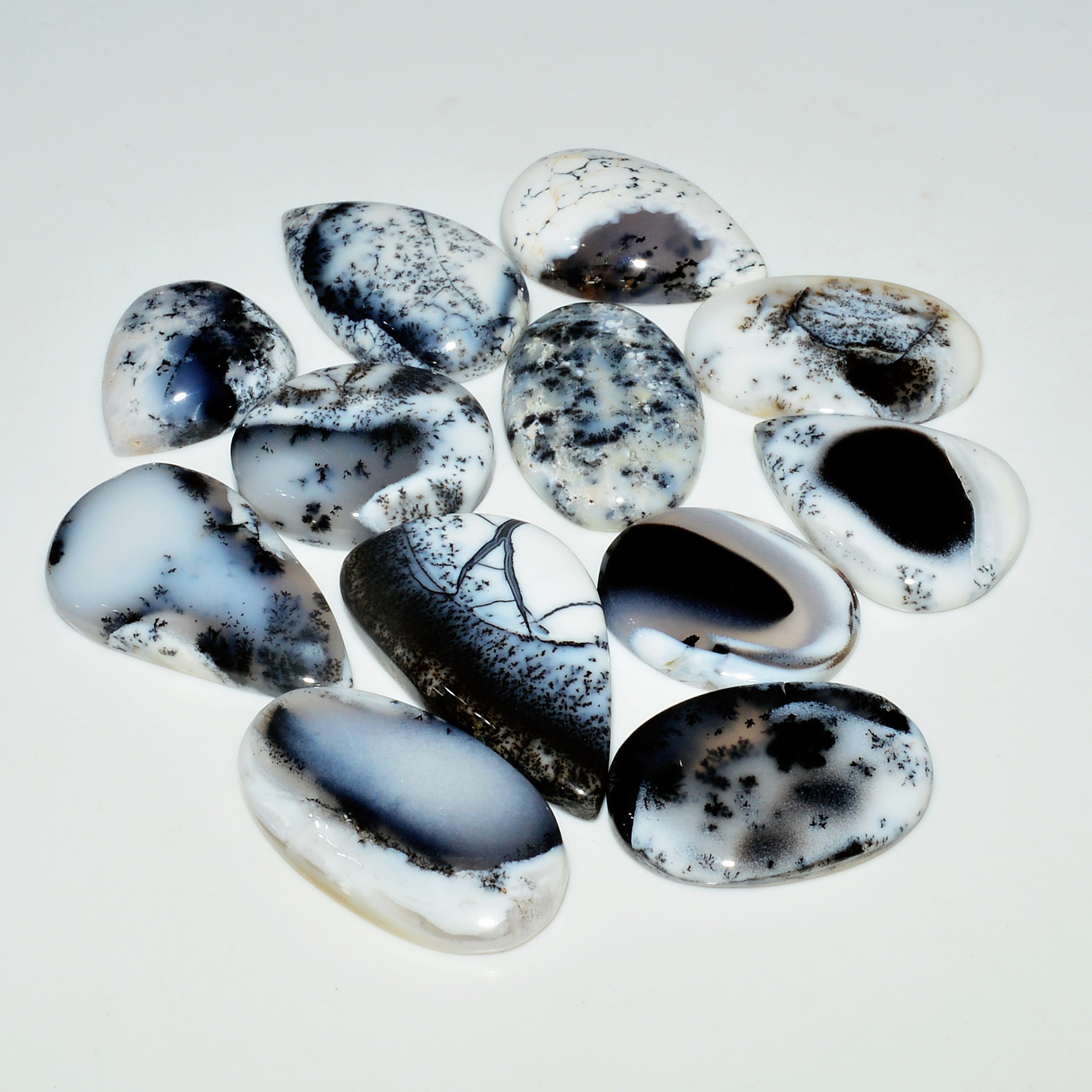 12Piece250CtsNatural Dendrite Agate Cabochon Gemstone lot 341x18 18x16mm 19186