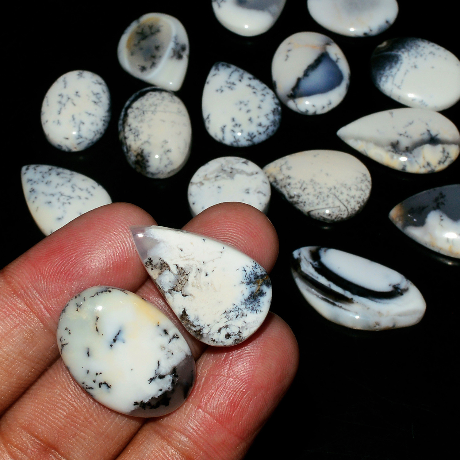 16 Piece239CtsNatural Dendrite Agate Cabochon Gemstone lot 23x15  15x15mm 19204