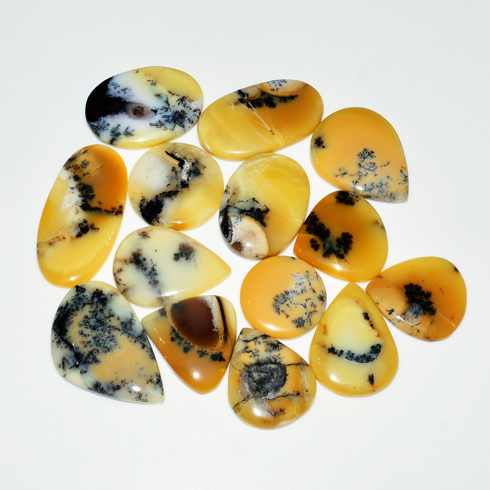 14 Piece261CtsNatural Dendrite Agate Cabochon Gemstone lot 35X16 18X18mm 19221