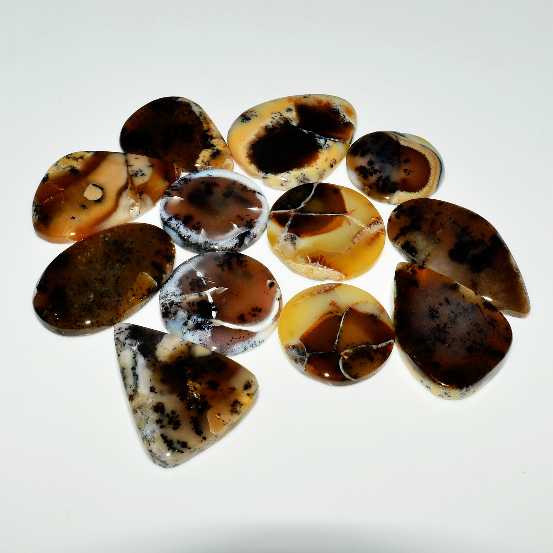 12 Piece328CtsNatural Dendrite Agate Cabochon Gemstone lot 35X19 25X25mm 19223