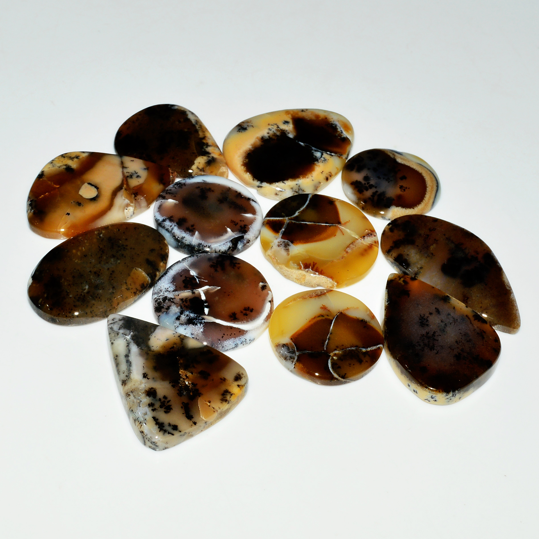 12 Piece328CtsNatural Dendrite Agate Cabochon Gemstone lot 35X19 25X25mm 19223