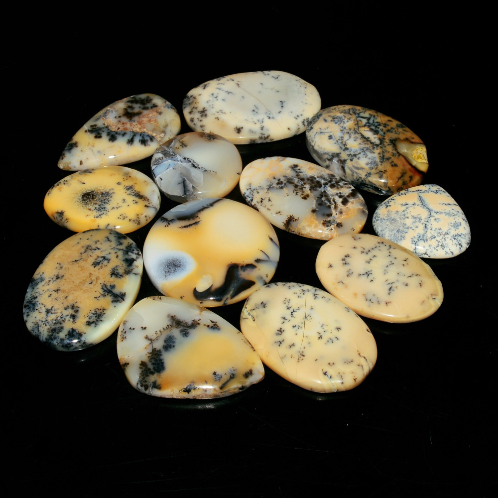 Image of 12 Piece297CtsNatural Dendrite Agate Cabochon Gemstone lot 32X18  19X19mm #19230