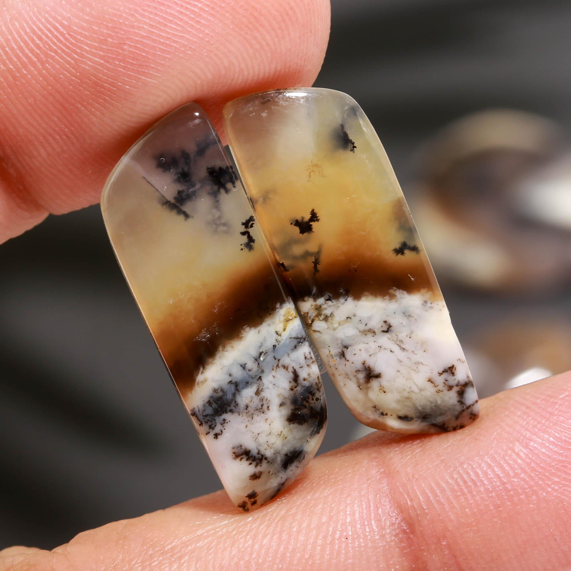 10 Pair 160 Cts  Natural Dendrite Agate Pair Cabochon Lot Loose Gemstones Jewelry Making 24x10 21x9mm 20049