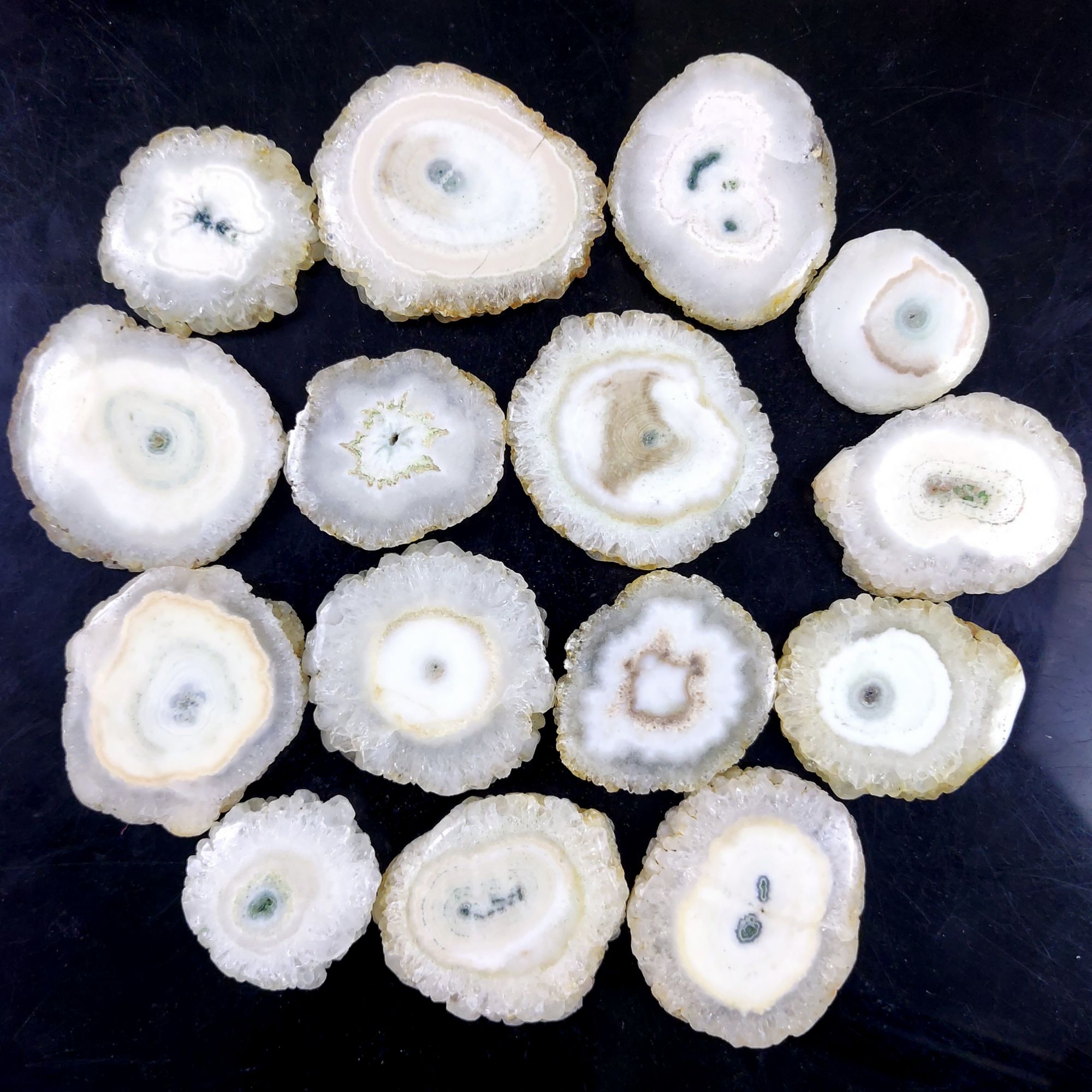 15Pcs 965Cts Natural White Solar Quartz Silce Cabochon Gemstone Flat Back  Back Unpolished Lot42x38 26x26mmG-2105