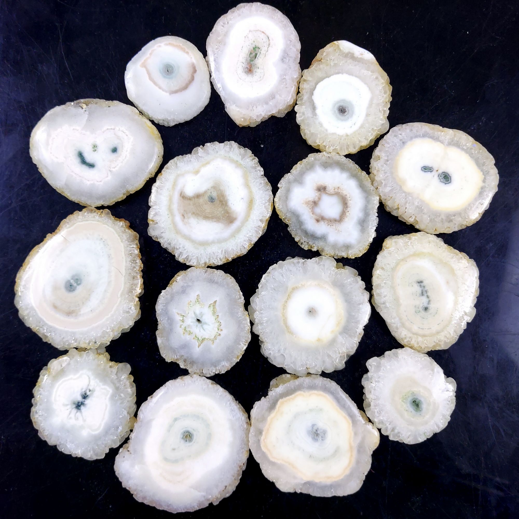 15Pcs 965Cts Natural White Solar Quartz Silce Cabochon Gemstone Flat Back  Back Unpolished Lot42x38 26x26mmG-2105