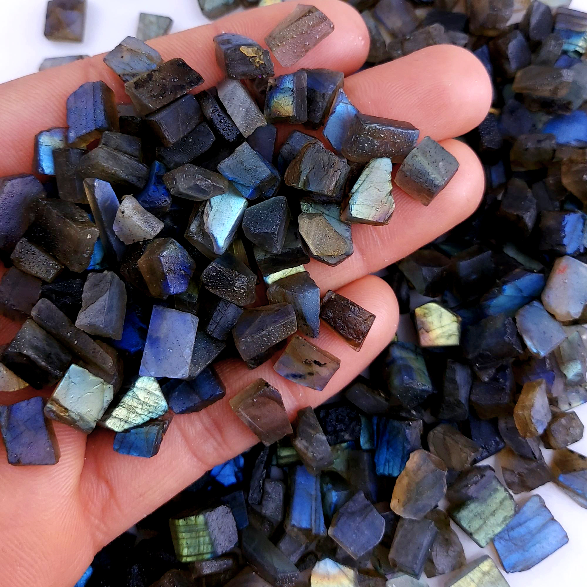1200Cts Natural Labradorite Raw Rough Uncut Gemstone Slice Lot Wholesale Unpolish Jewelry Making 8-12mm2511