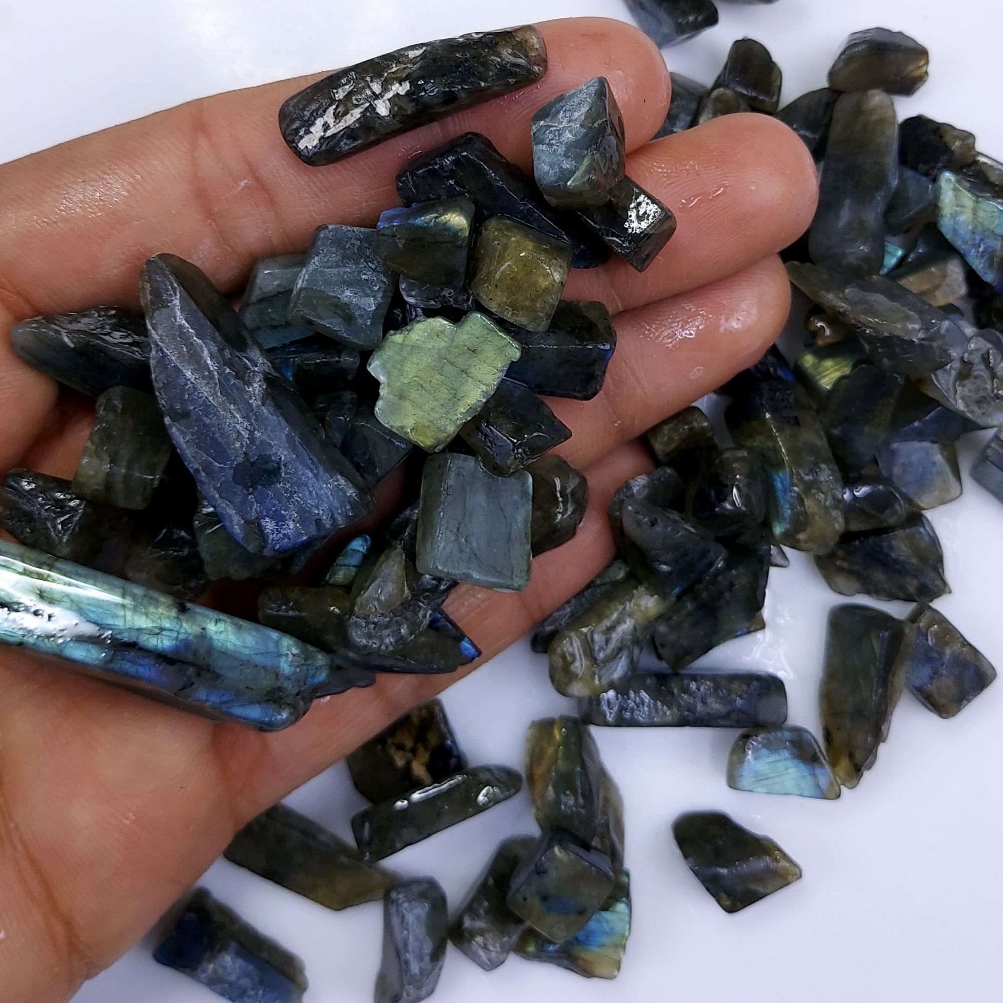1400Cts Natural Labradorite Raw Rough Uncut Gemstone Lot Wholesale Unpolish Jewelry Making 10-20mm2562