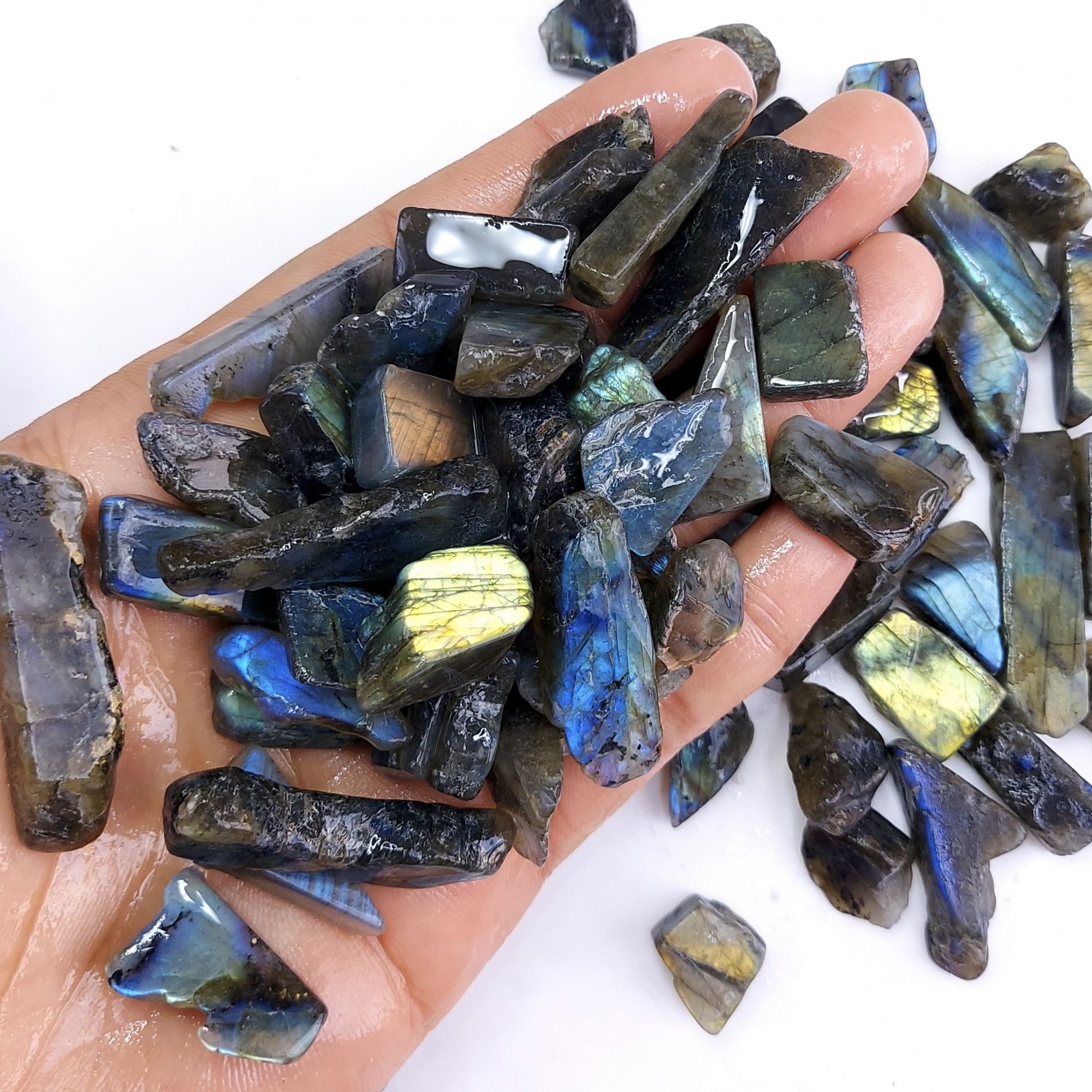 1250Cts Natural Labradorite Raw Rough Uncut Gemstone Lot Wholesale Unpolish Jewelry Making 14-24mm2597