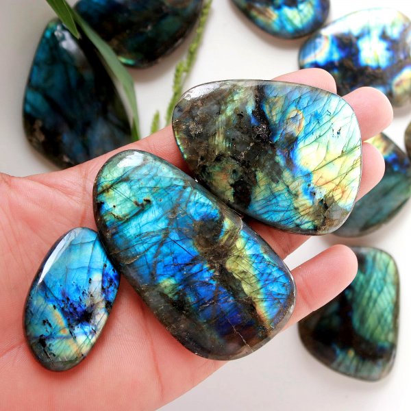 10 Pcs 1585Cts Labradorite Tumble Mix Cabochon Loose Wholesale Gemstone Lot Size 75x38 45x31mm