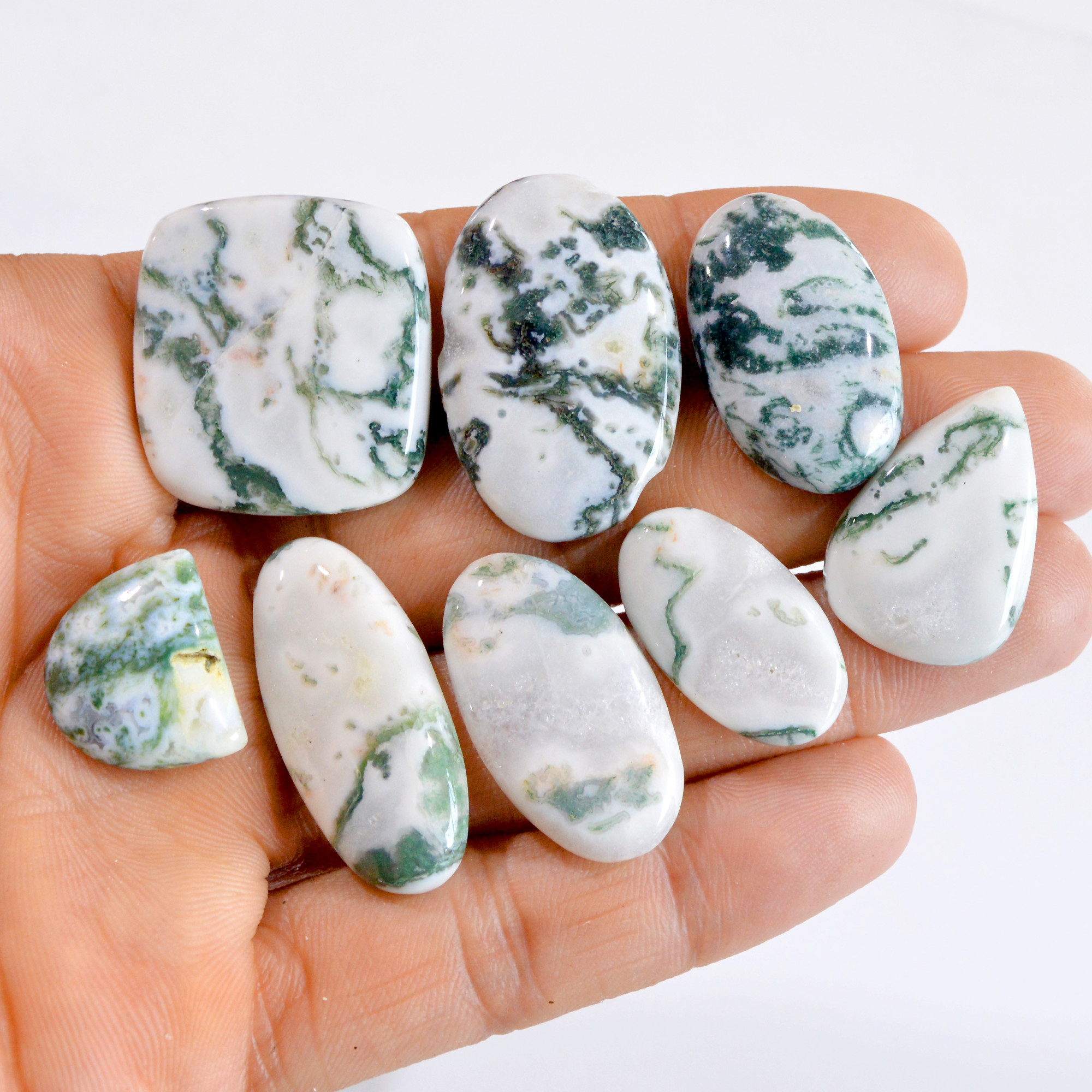 8 Pcs 194 Cts Natural Tree Agate Cabochon Loose Gemstone Lot 18x15-28x26mm 2693
