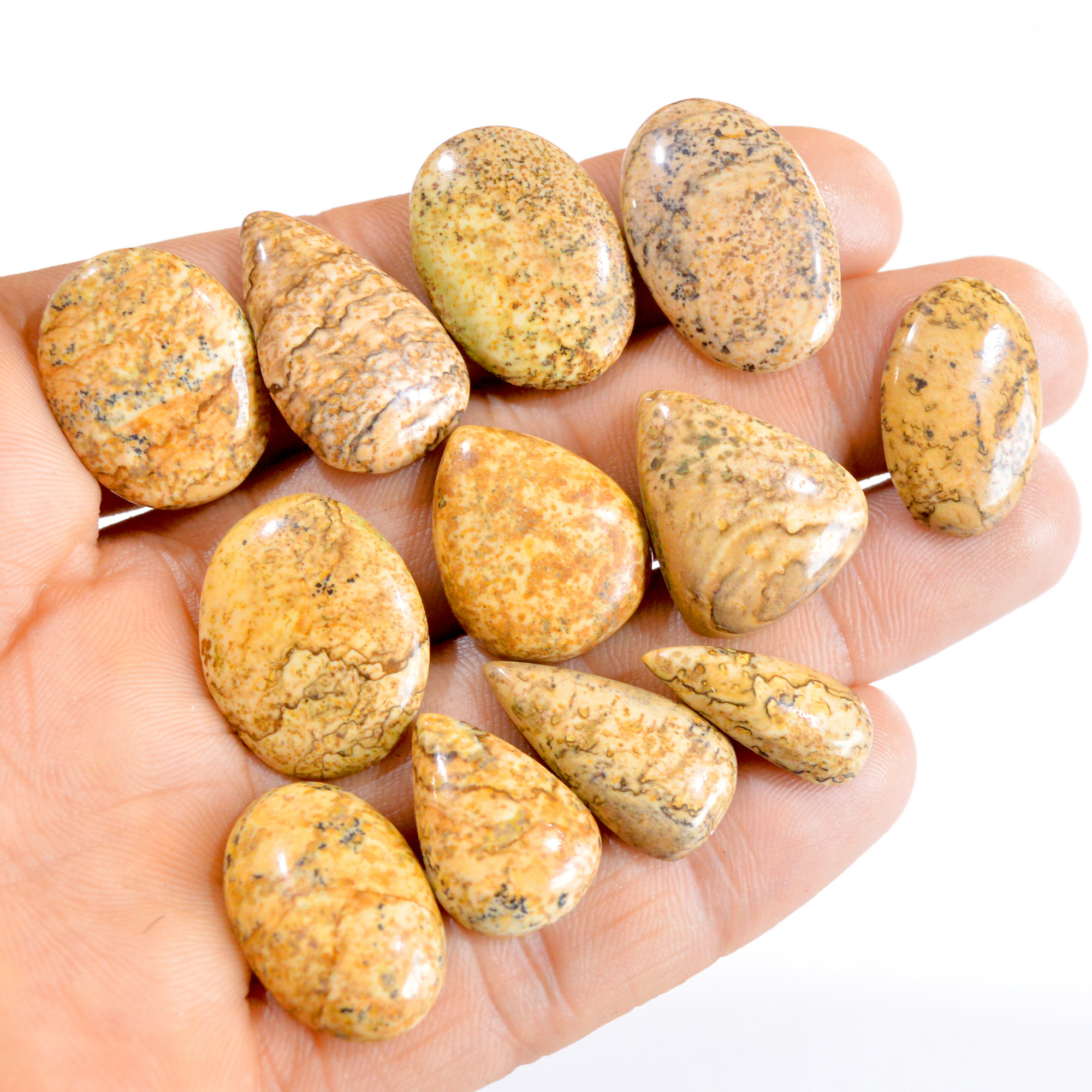 12 Pcs 147 Cts Natural Picture Jasper Cabochon Gemstone Lot 20x9-25x16mm 2725