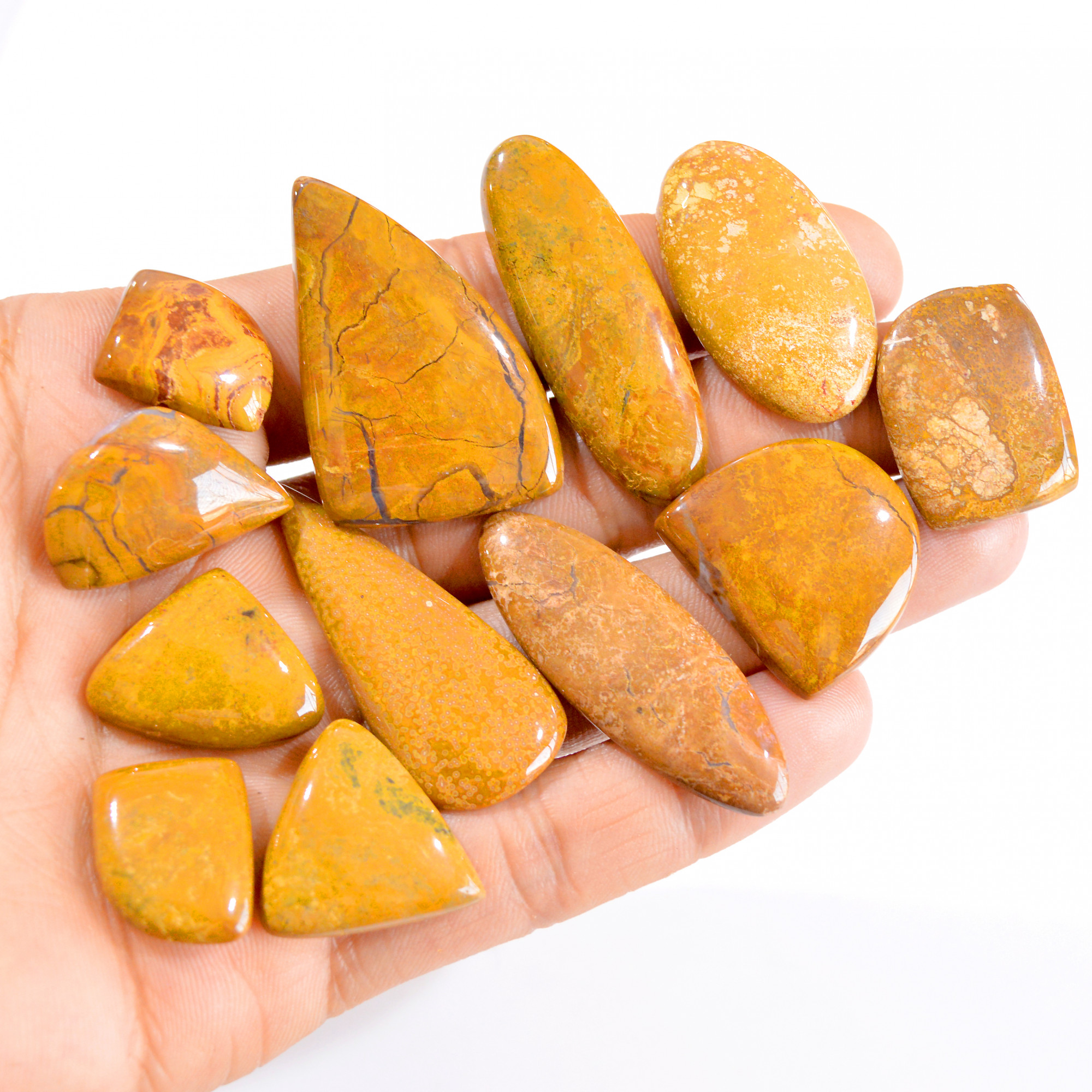 12 Pcs 306 Cts Natural Brown Jasper Cabochon Loose Gemstone Lot 18x15-40x26mm 2785