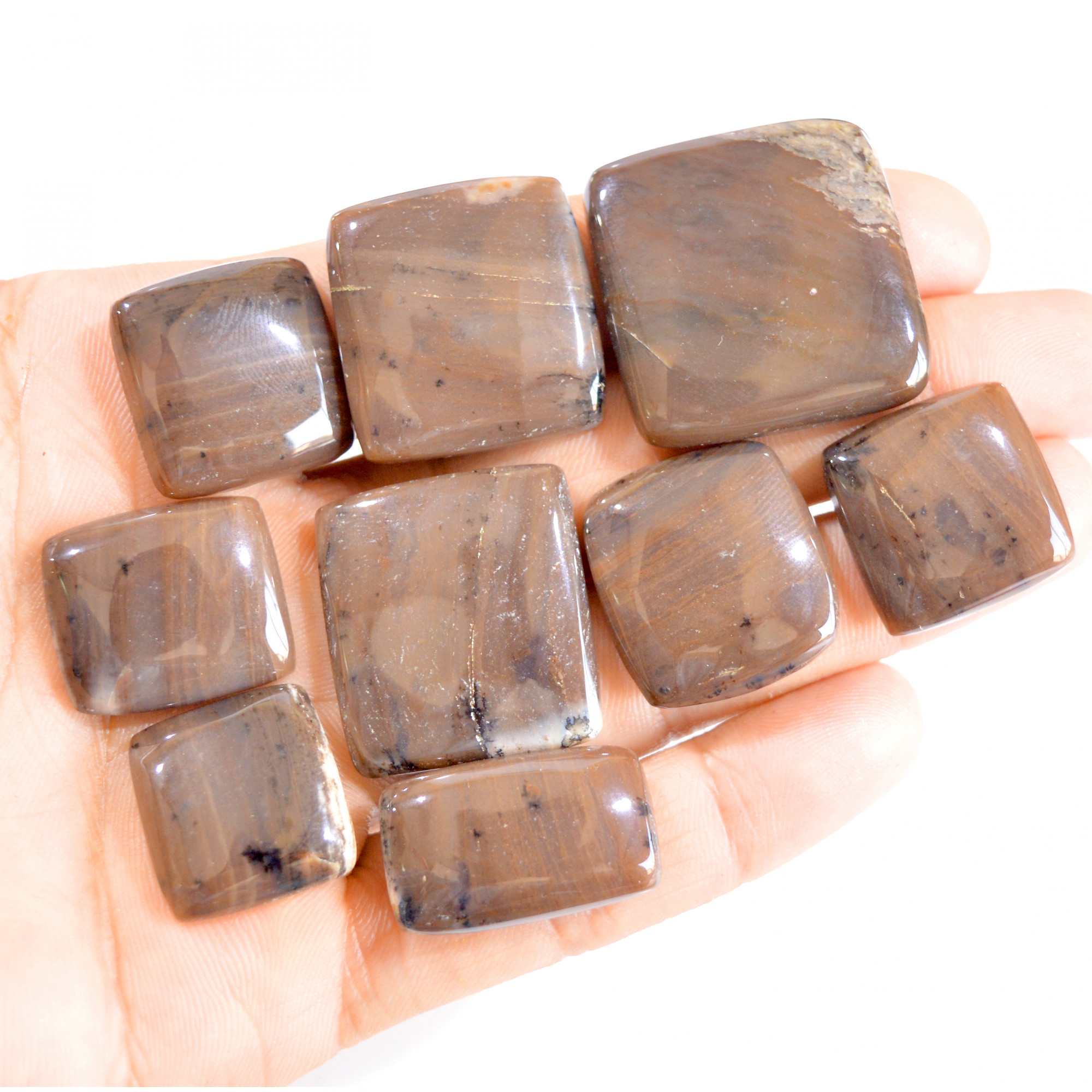 9 Pcs 313 Cts Natural Honey Dendrite Agate Loose Cabochon Lot 20x18-31x30mm 2792