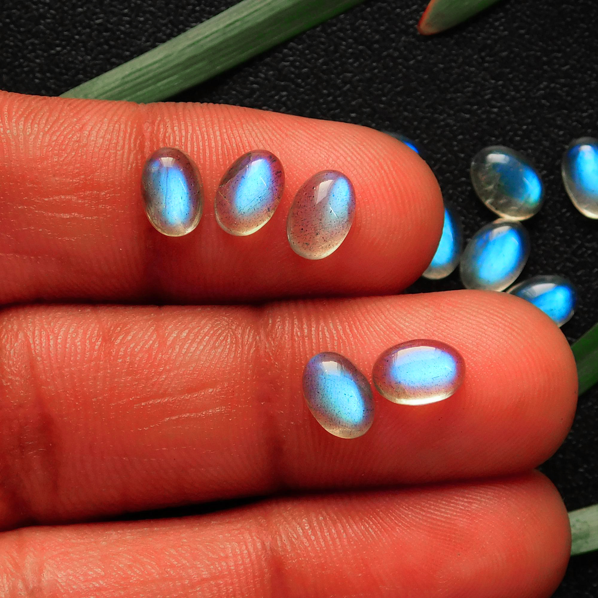 15 Pcs 13.85 Cts Natural Celibrated Labradorite Oval Cabochons Loose Gemstone Wholesale Lot Size 7x5mm