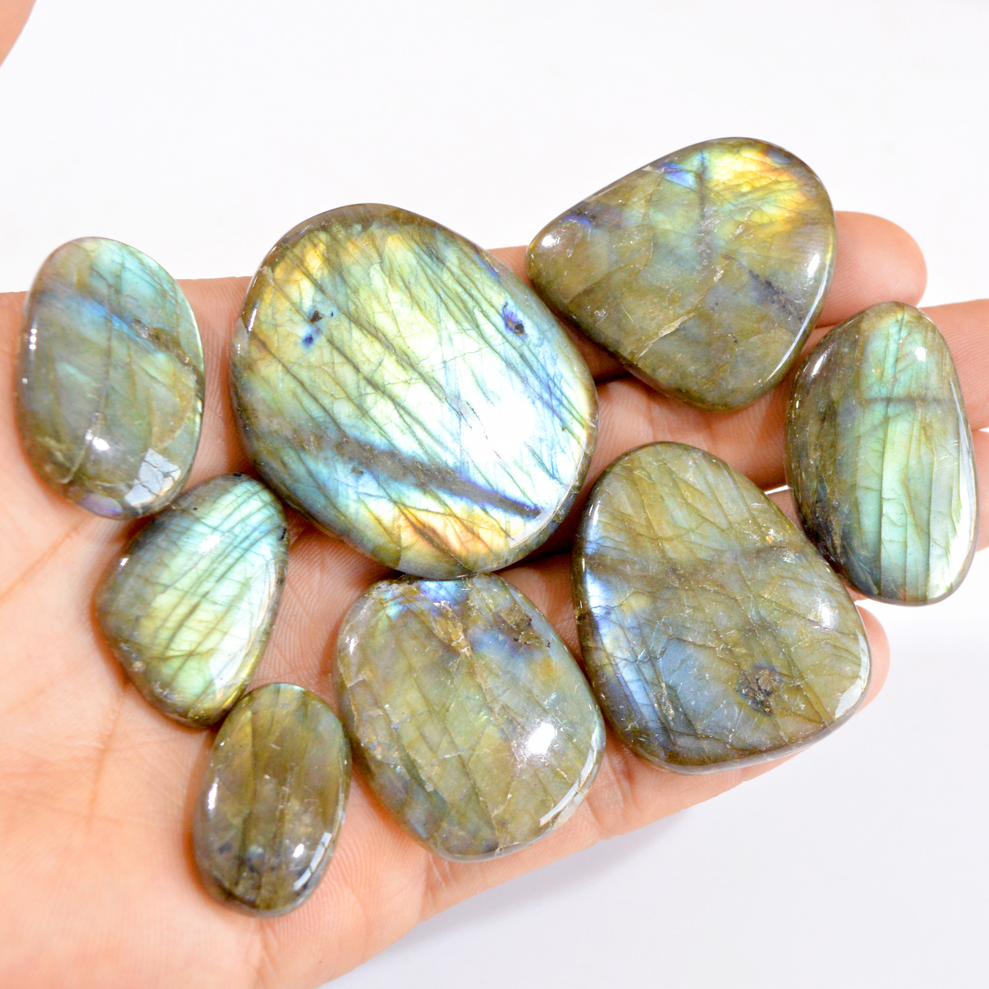 8 Pcs 467 Cts Natural Labradorite Back Unpolished Cabochon Lot 27x16-49x42mm 2818