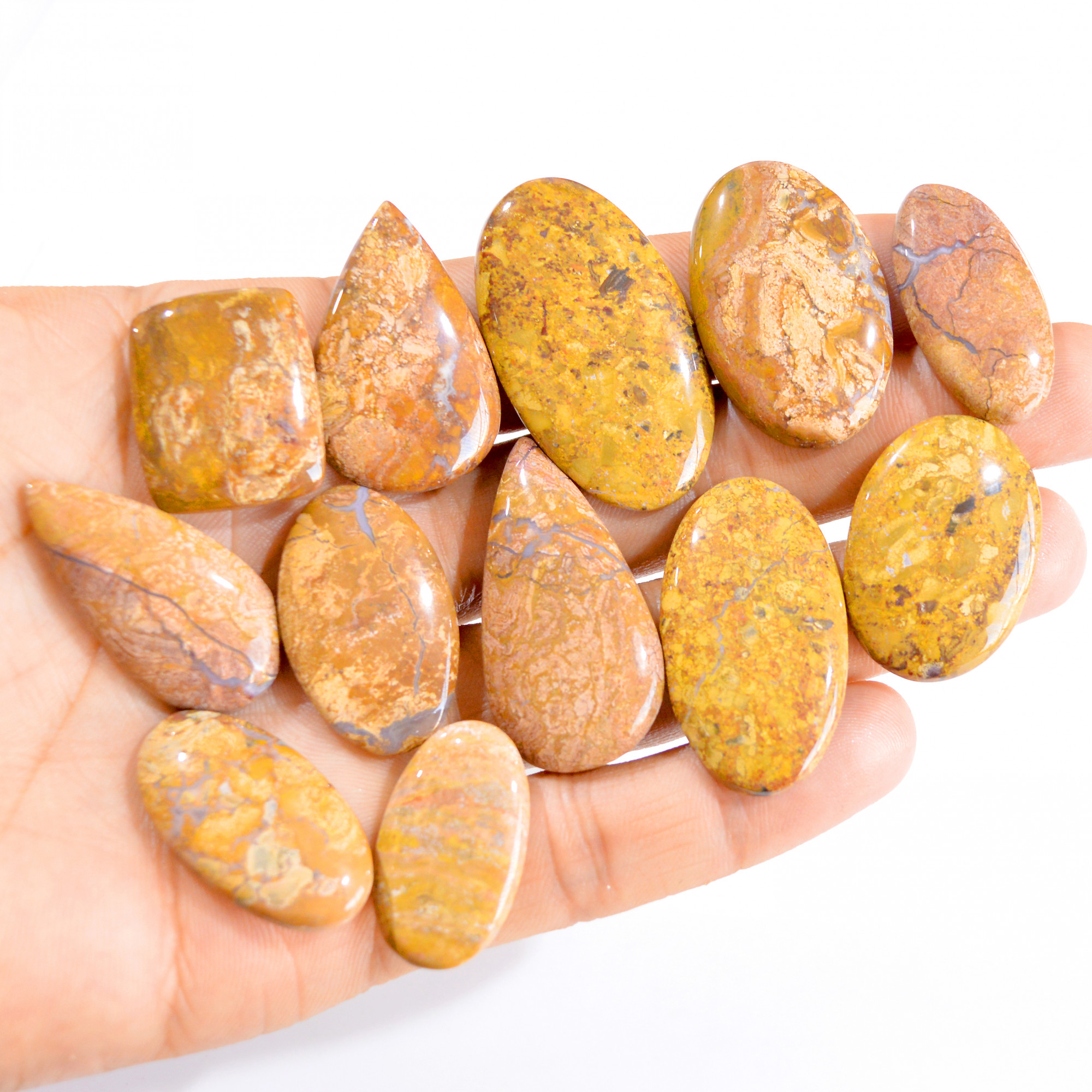 12 Pcs 331 Cts Natural Landscape Jasper Cabochon Gemstone Lot 27x16-41x23mm 2841