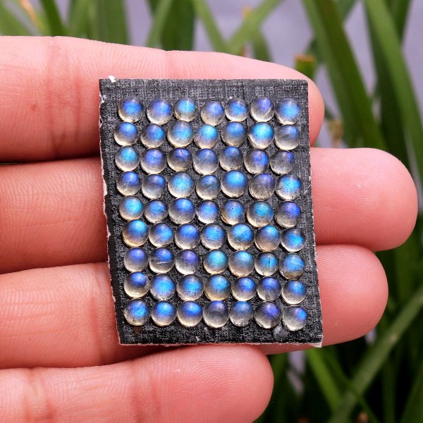 63 Pcs 18.60 Cts Natural Calibrated Labradorite Round Cabochons Loose Gemstone Wholesale Lot Size 4mm