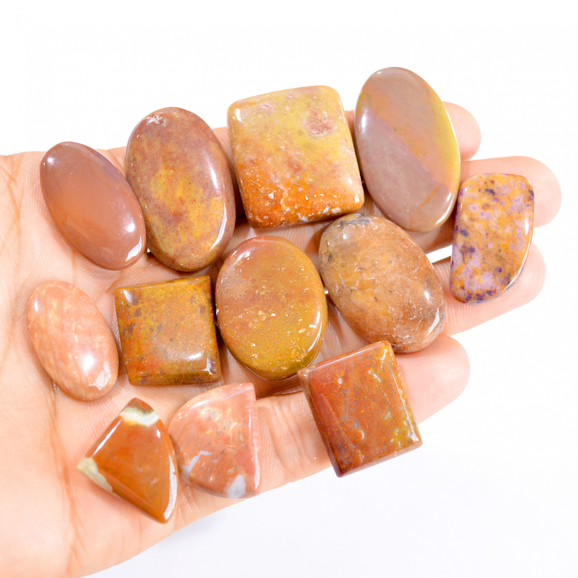 12 Pcs 356 Cts Natural Picture Jasper Cabochon Gemstone Lot 23x18-39x21mm 2844