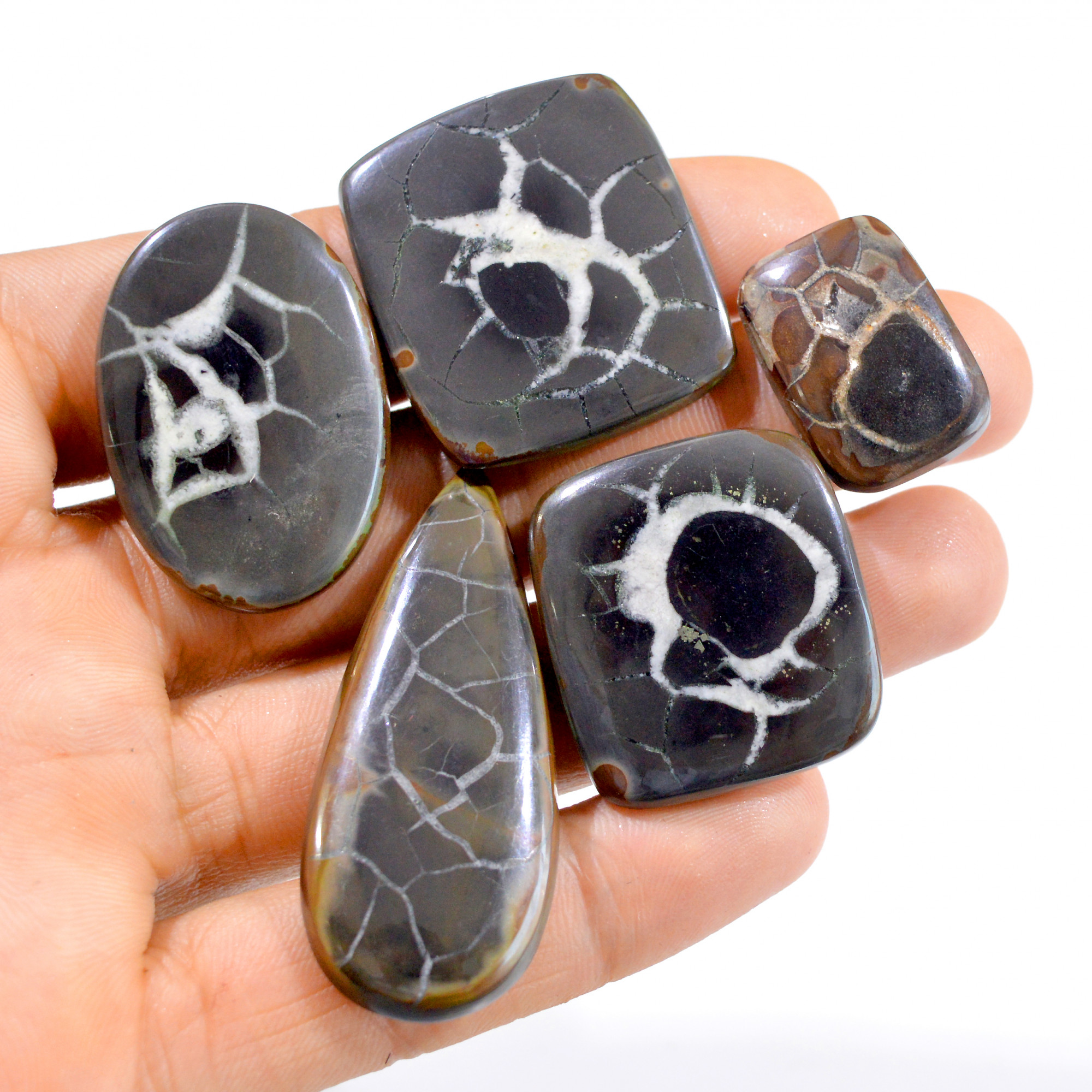5 Pcs 273 Cts Natural Septarian Loose Cabochon Gemstone Lot 23x16-50x21mm 2988