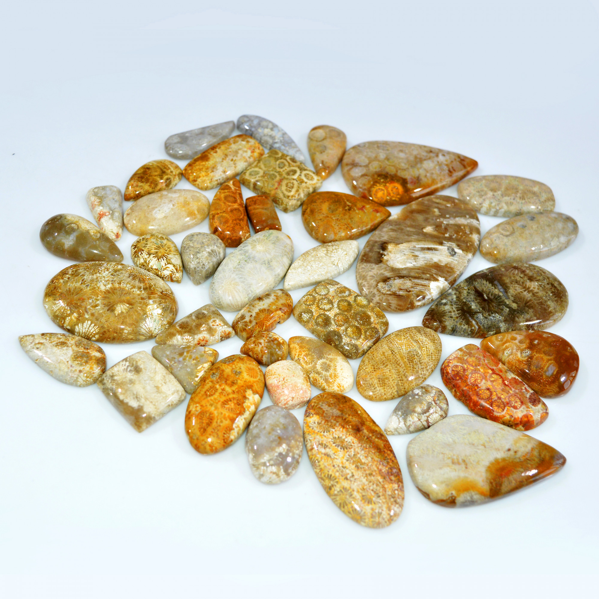 39Pcs 1155Ct Natural Fossil Coral Loose Cabochon Gemstone Lot Mixed Shapes For Pendants Handmade Jewelry Supplies 60x30 20x9mm 3140