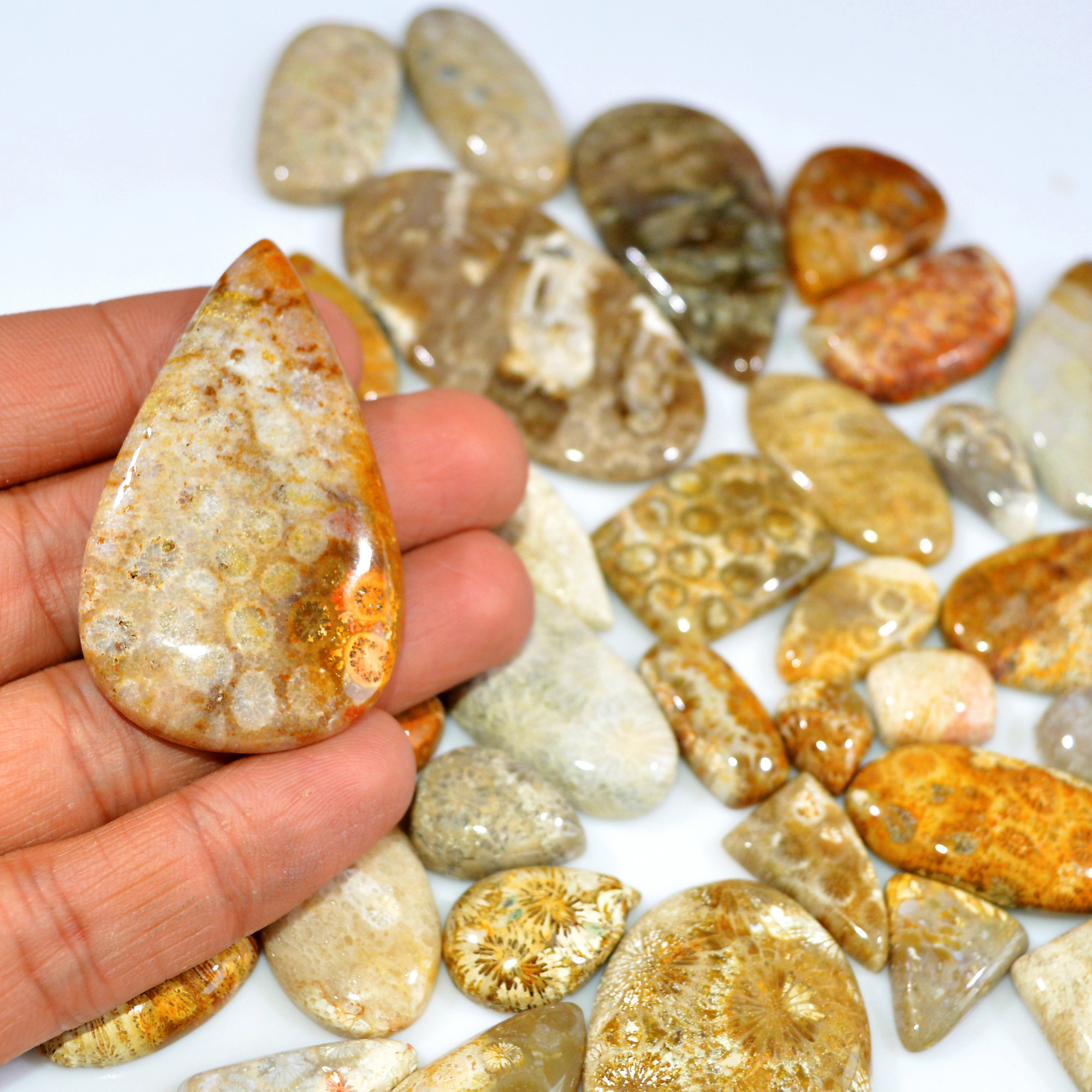 39Pcs 1155Ct Natural Fossil Coral Loose Cabochon Gemstone Lot Mixed Shapes For Pendants Handmade Jewelry Supplies 60x30 20x9mm 3140