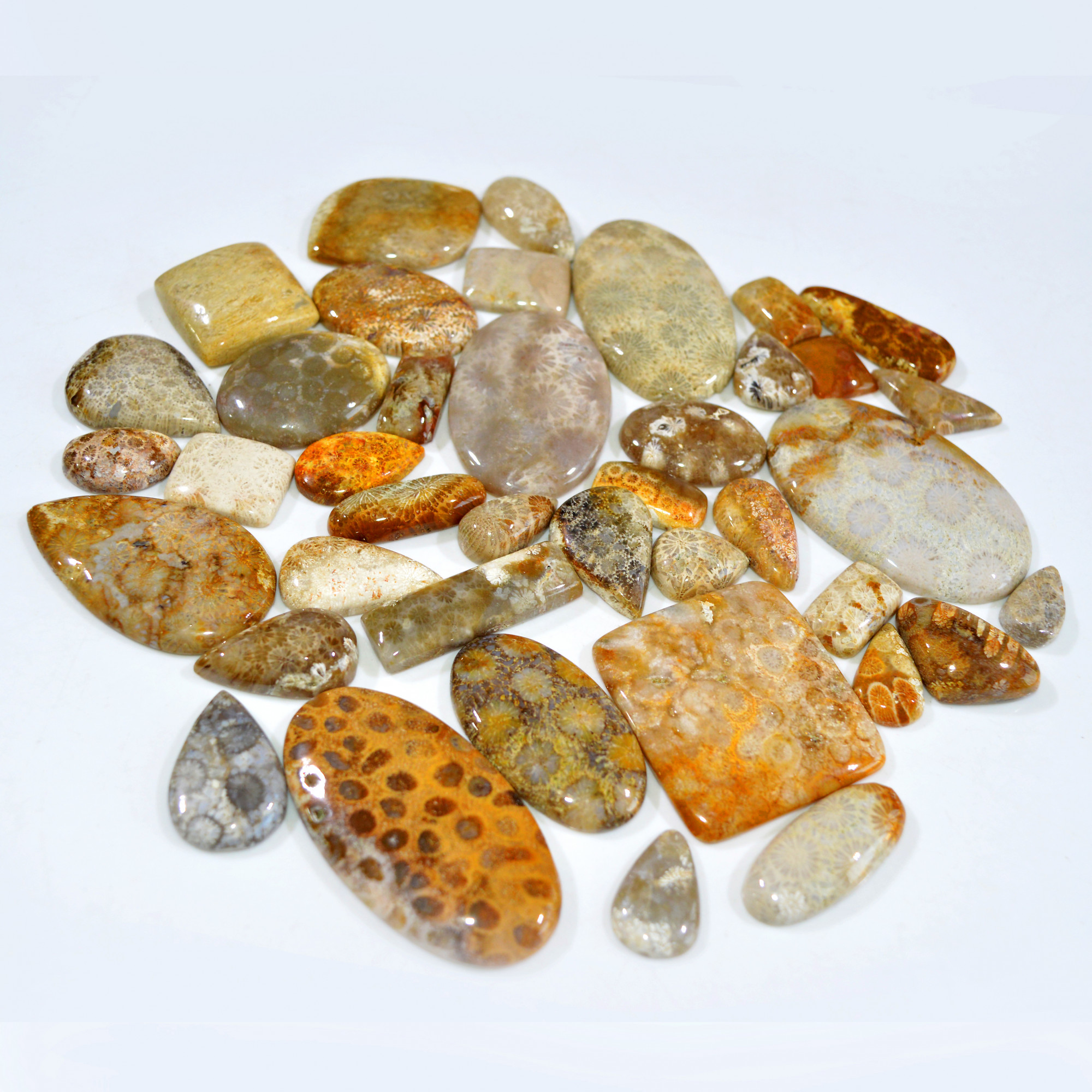 40Pcs 1255Ct Natural Fossil Coral Loose Cabochon Gemstone Lot Mixed Shapes For Pendants Handmade Jewelry Supplies 55x35 16x10mm 3141