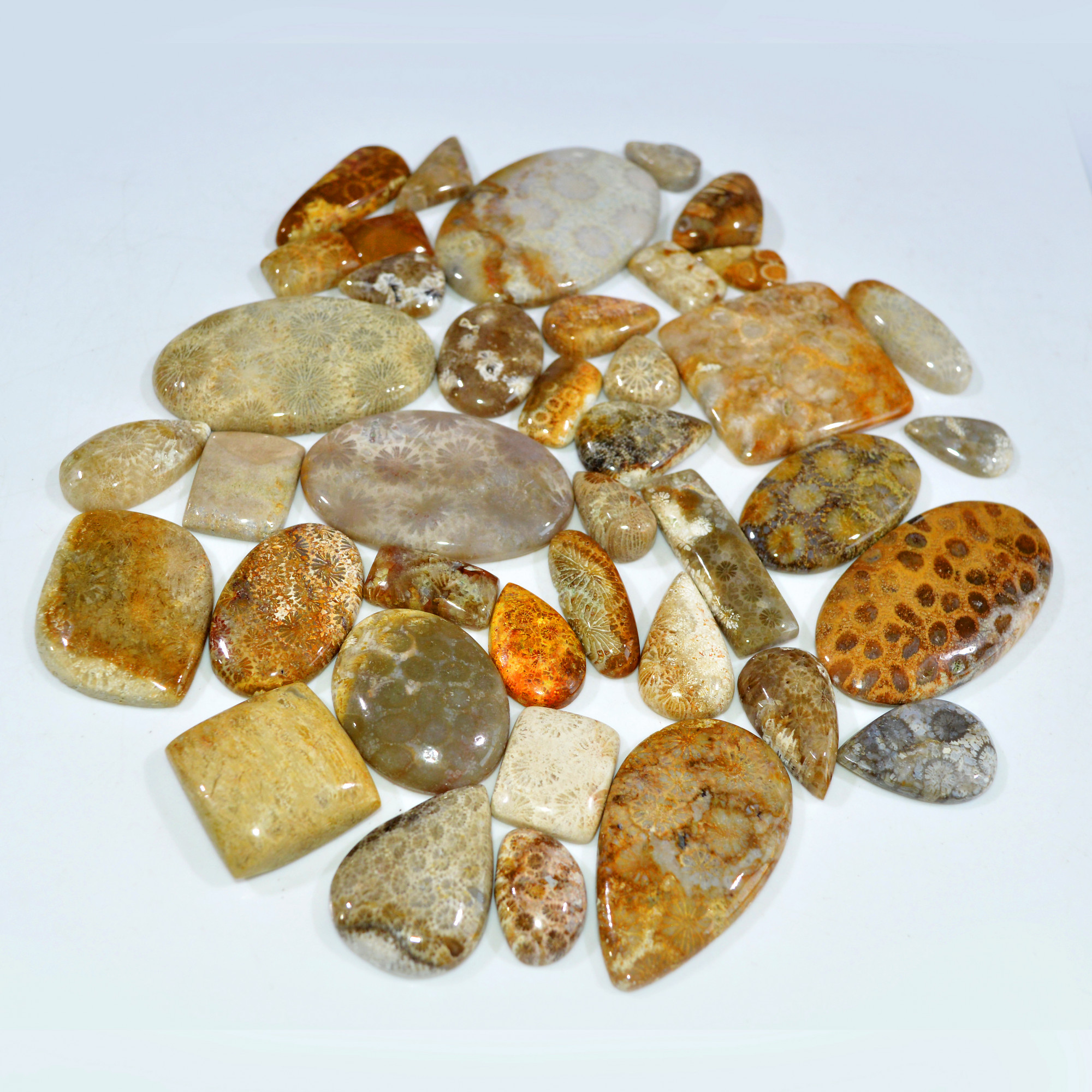 40Pcs 1255Ct Natural Fossil Coral Loose Cabochon Gemstone Lot Mixed Shapes For Pendants Handmade Jewelry Supplies 55x35 16x10mm 3141