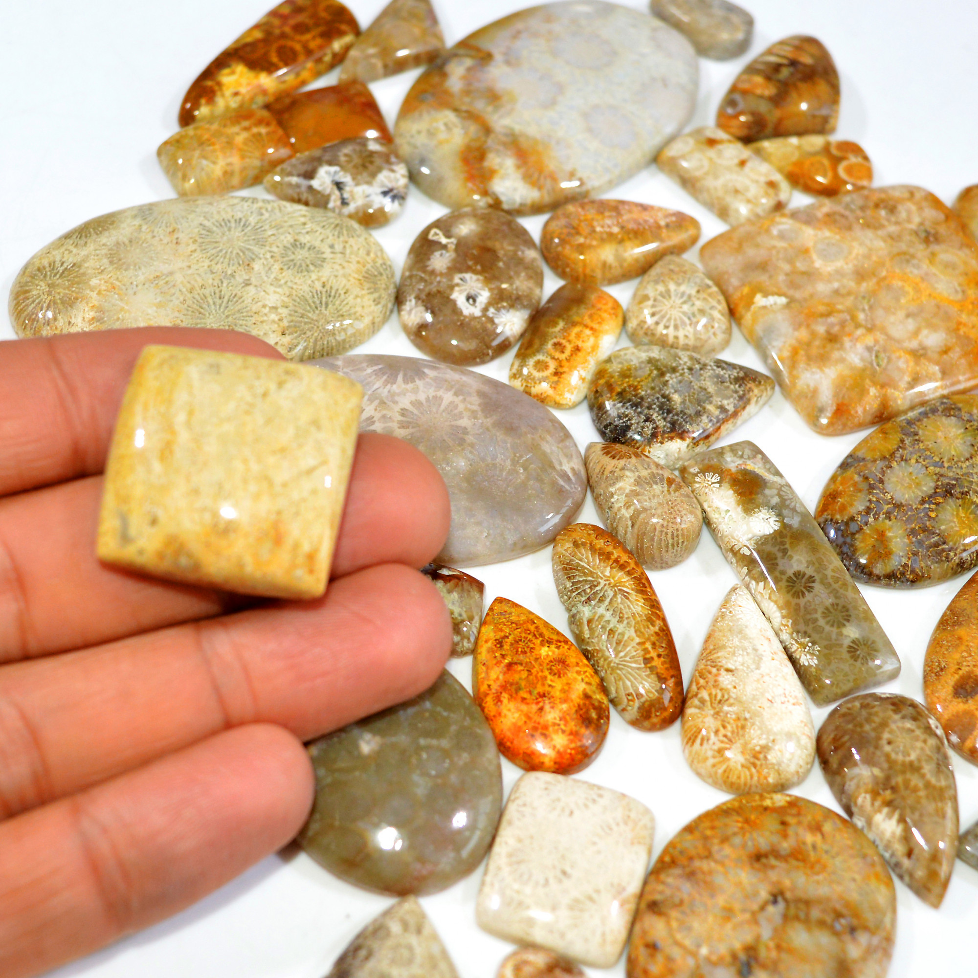 40Pcs 1255Ct Natural Fossil Coral Loose Cabochon Gemstone Lot Mixed Shapes For Pendants Handmade Jewelry Supplies 55x35 16x10mm 3141