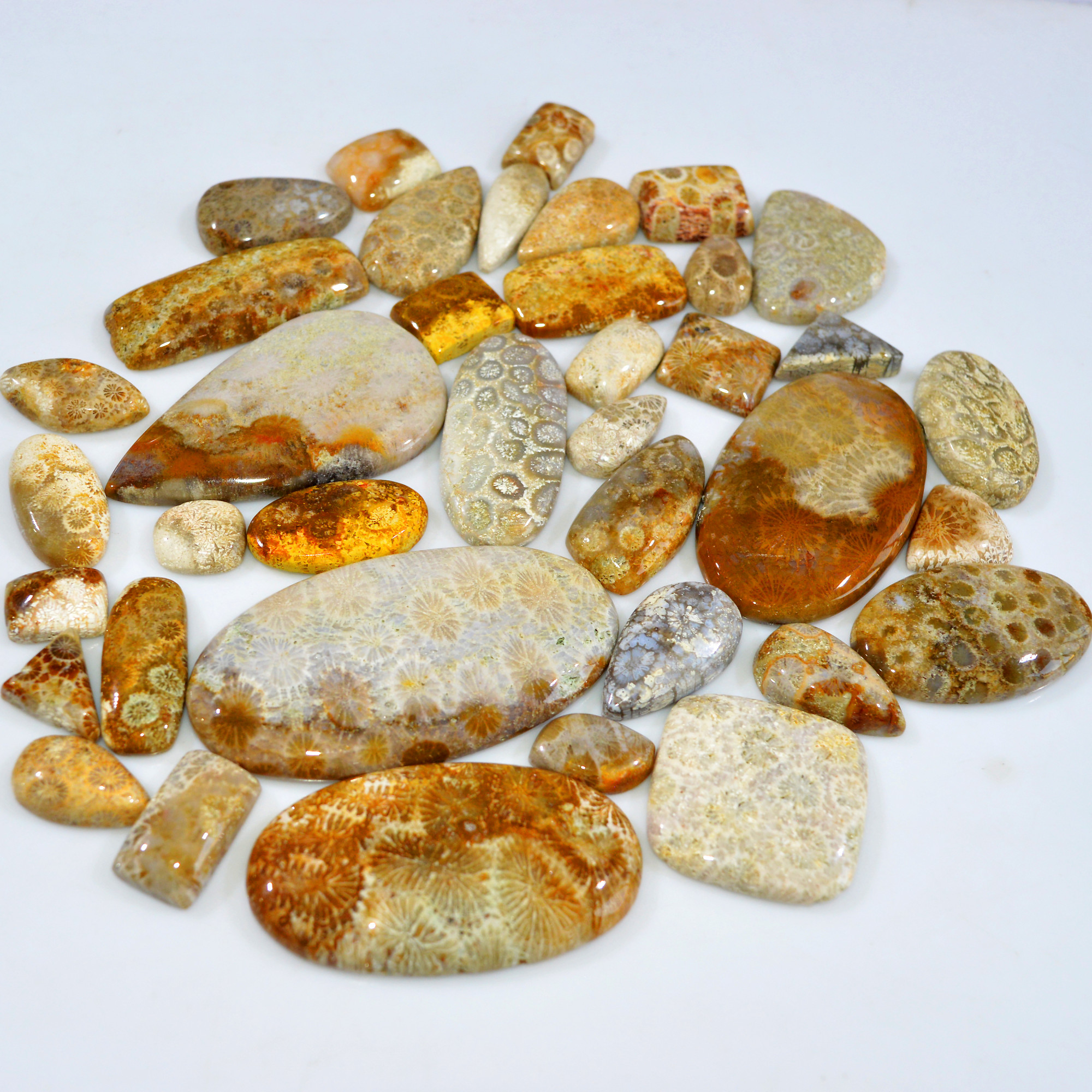 38Pcs 1081Ct Natural Fossil Coral Loose Cabochon Gemstone Lot Mixed Shapes For Pendants Handmade Jewelry Supplies 62x32 16x9mm 3142