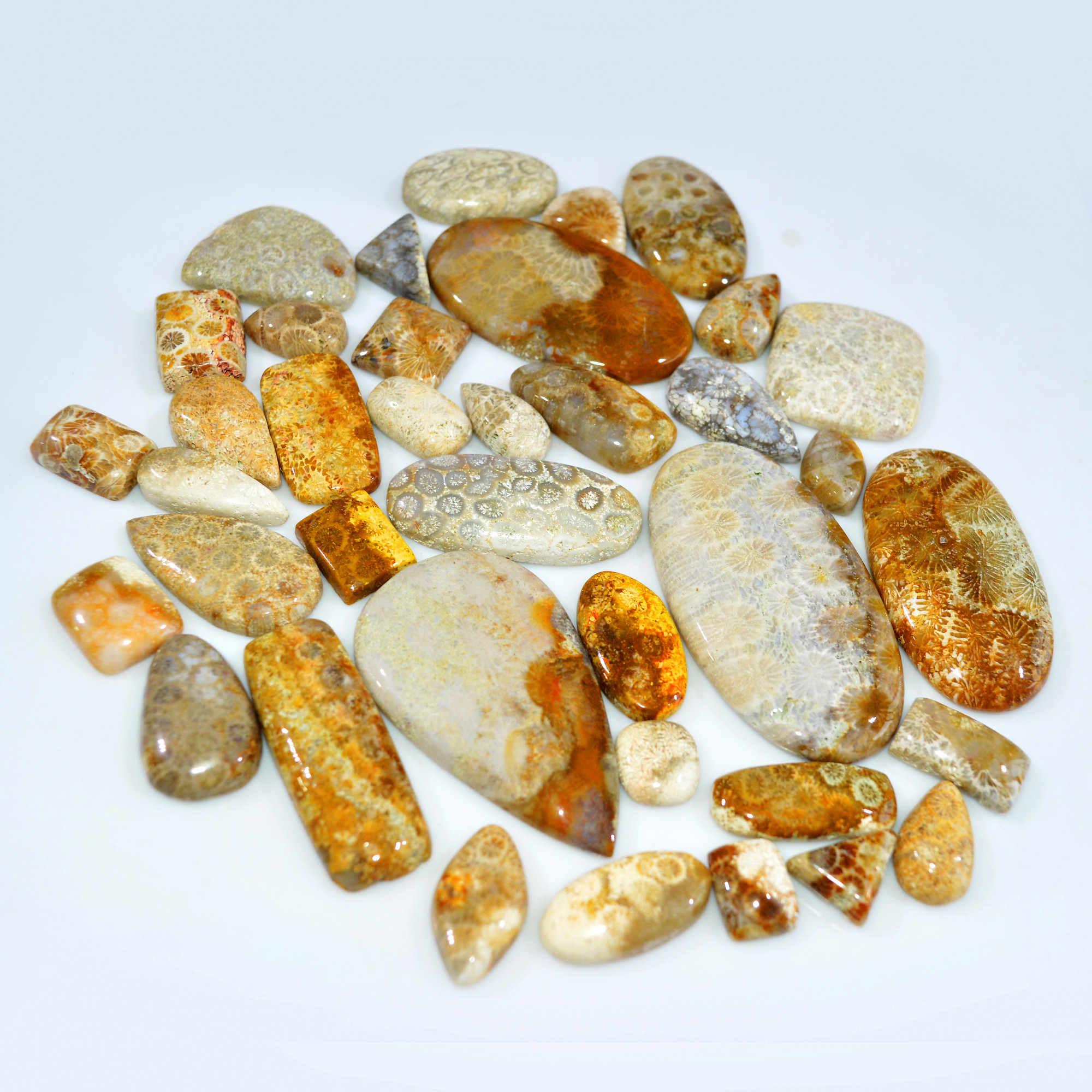 38Pcs 1081Ct Natural Fossil Coral Loose Cabochon Gemstone Lot Mixed Shapes For Pendants Handmade Jewelry Supplies 62x32 16x9mm 3142