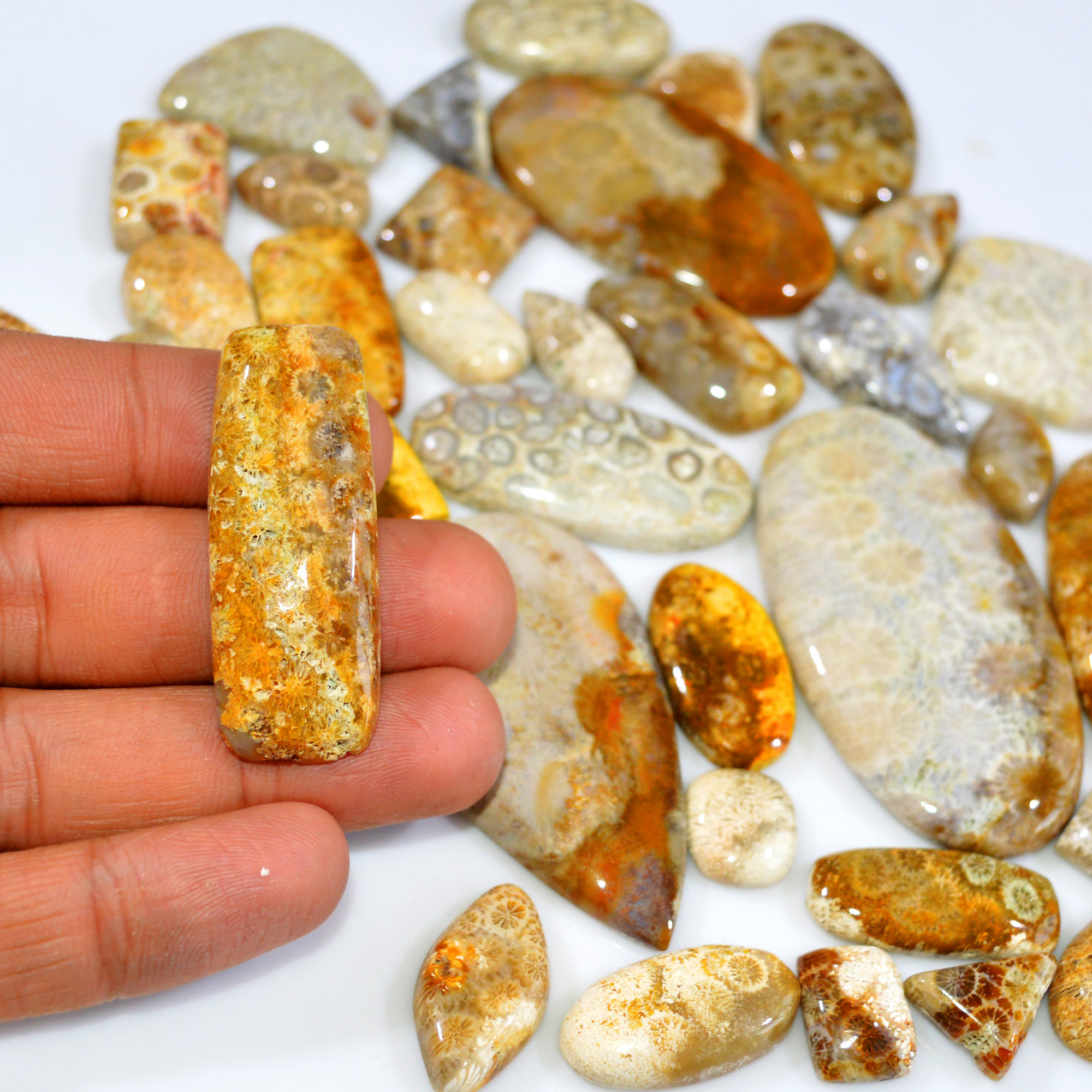 38Pcs 1081Ct Natural Fossil Coral Loose Cabochon Gemstone Lot Mixed Shapes For Pendants Handmade Jewelry Supplies 62x32 16x9mm 3142