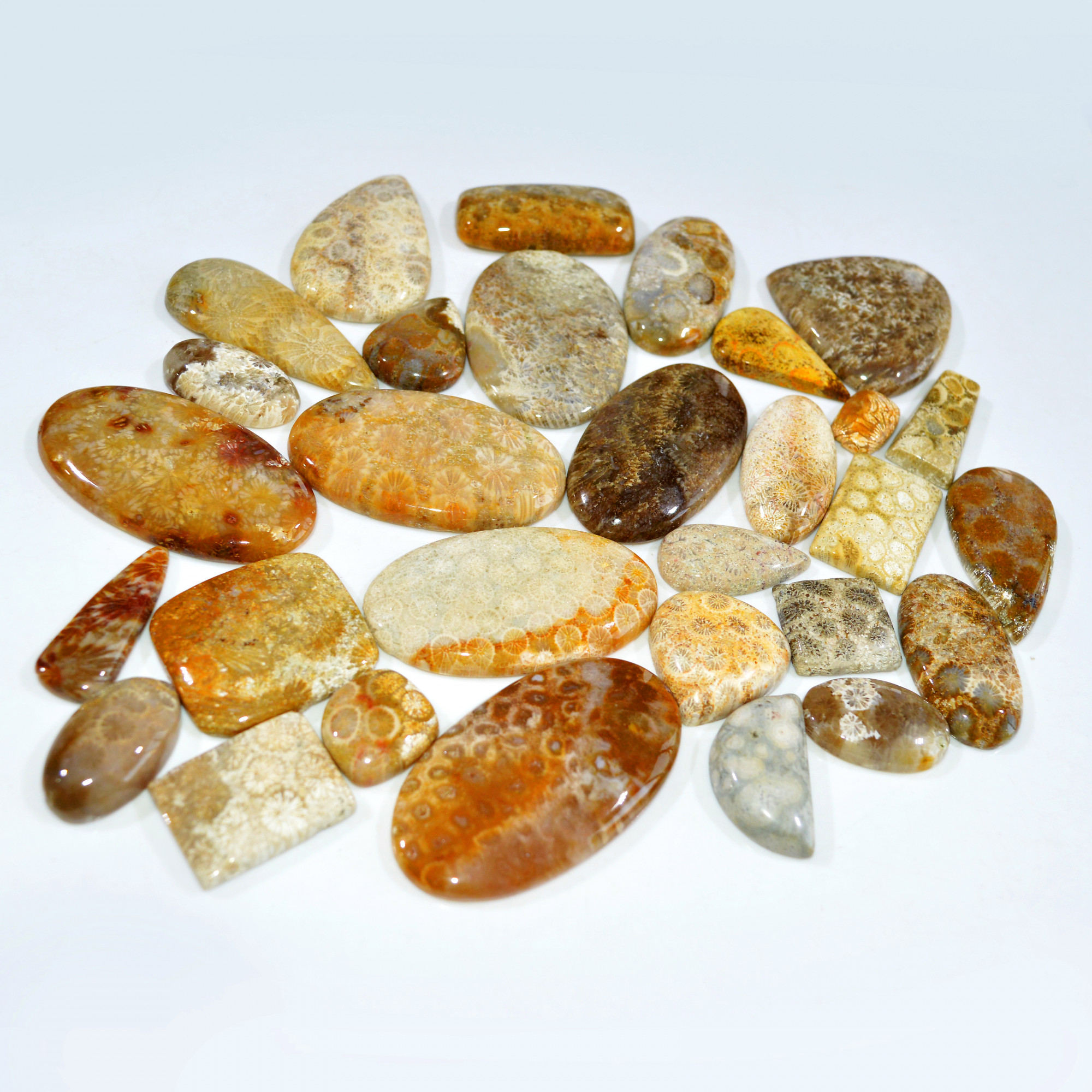 30Pcs 1296Ct Natural Fossil Coral Loose Cabochon Gemstone Lot Mixed Shapes For Pendants Handmade Jewelry Supplies 52x28 26x15mm 3143