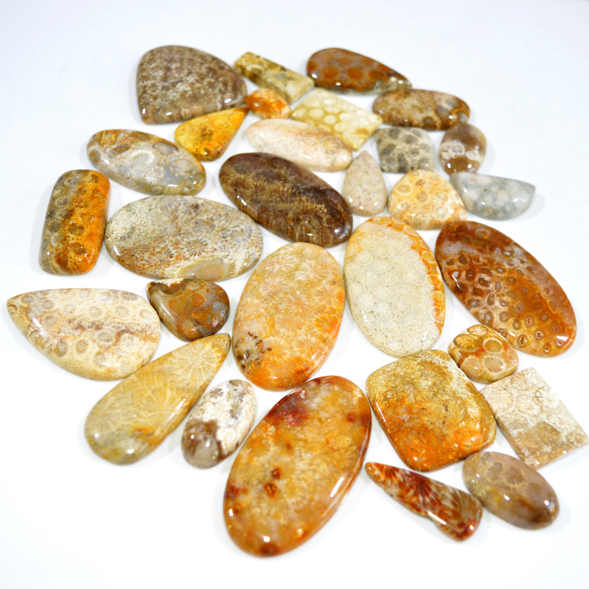 30Pcs 1296Ct Natural Fossil Coral Loose Cabochon Gemstone Lot Mixed Shapes For Pendants Handmade Jewelry Supplies 52x28 26x15mm 3143