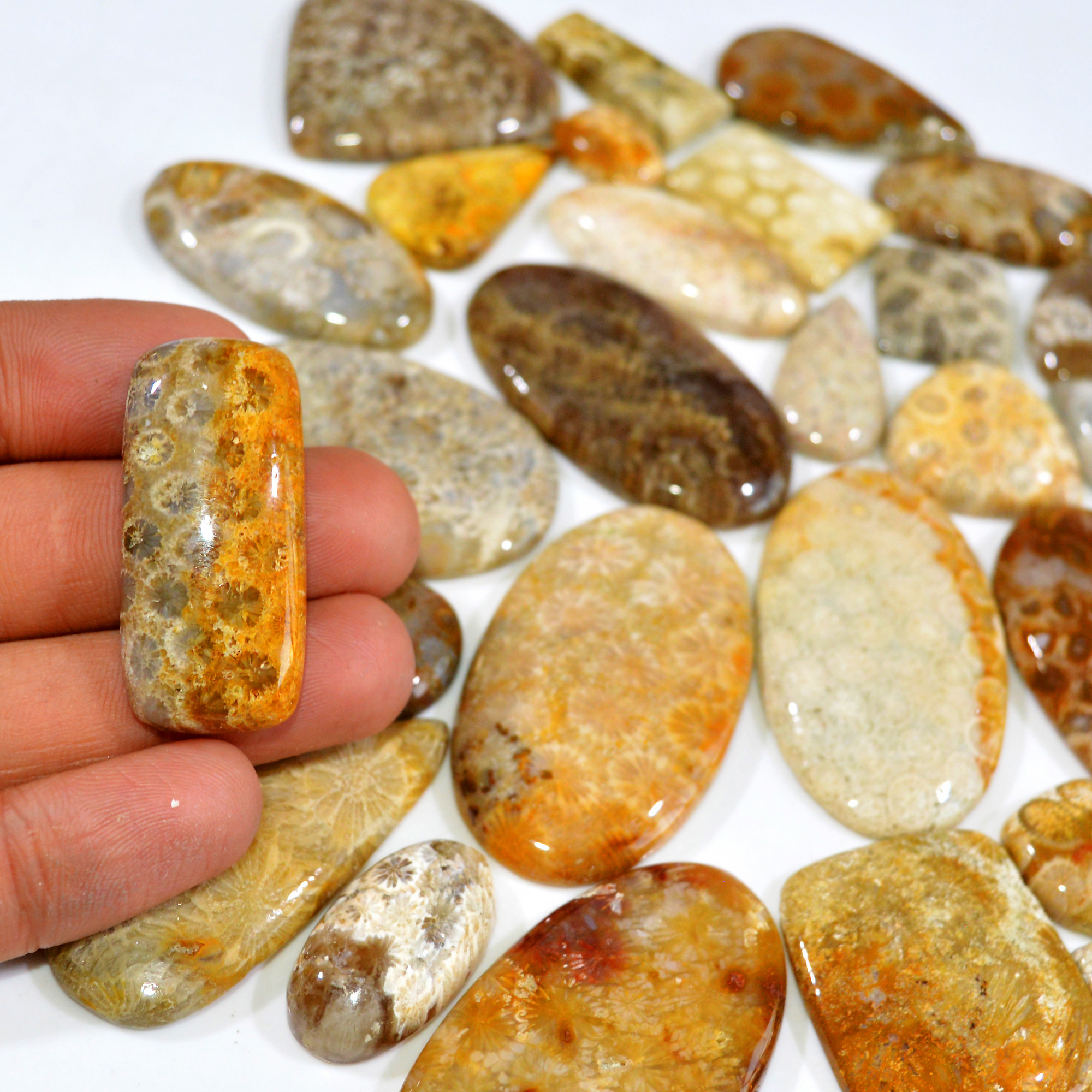 30Pcs 1296Ct Natural Fossil Coral Loose Cabochon Gemstone Lot Mixed Shapes For Pendants Handmade Jewelry Supplies 52x28 26x15mm 3143