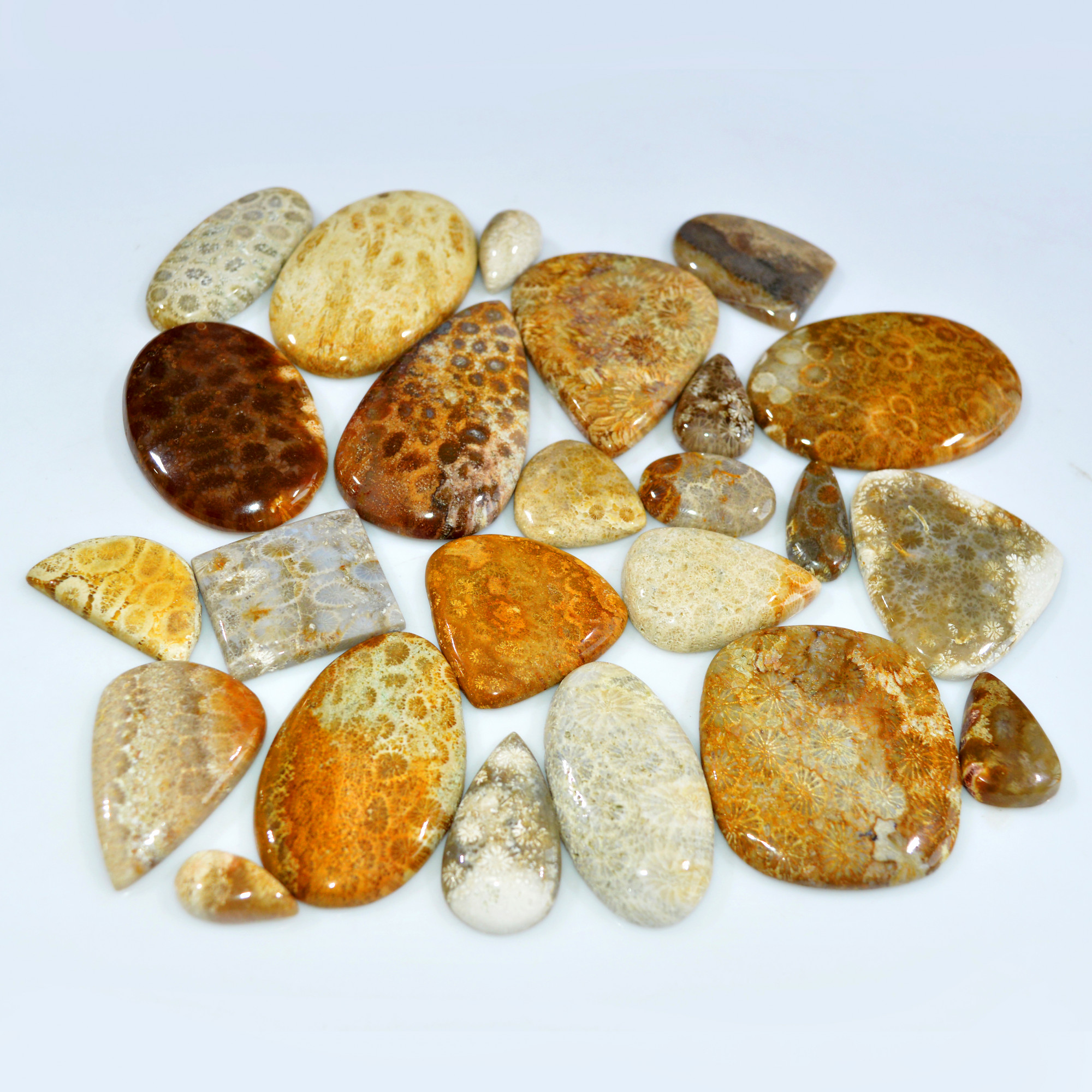 24Pcs 1017Ct Natural Fossil Coral Loose Cabochon Gemstone Lot Mixed Shapes For Pendants Handmade Jewelry Supplies 55x34 16x10mm 3144