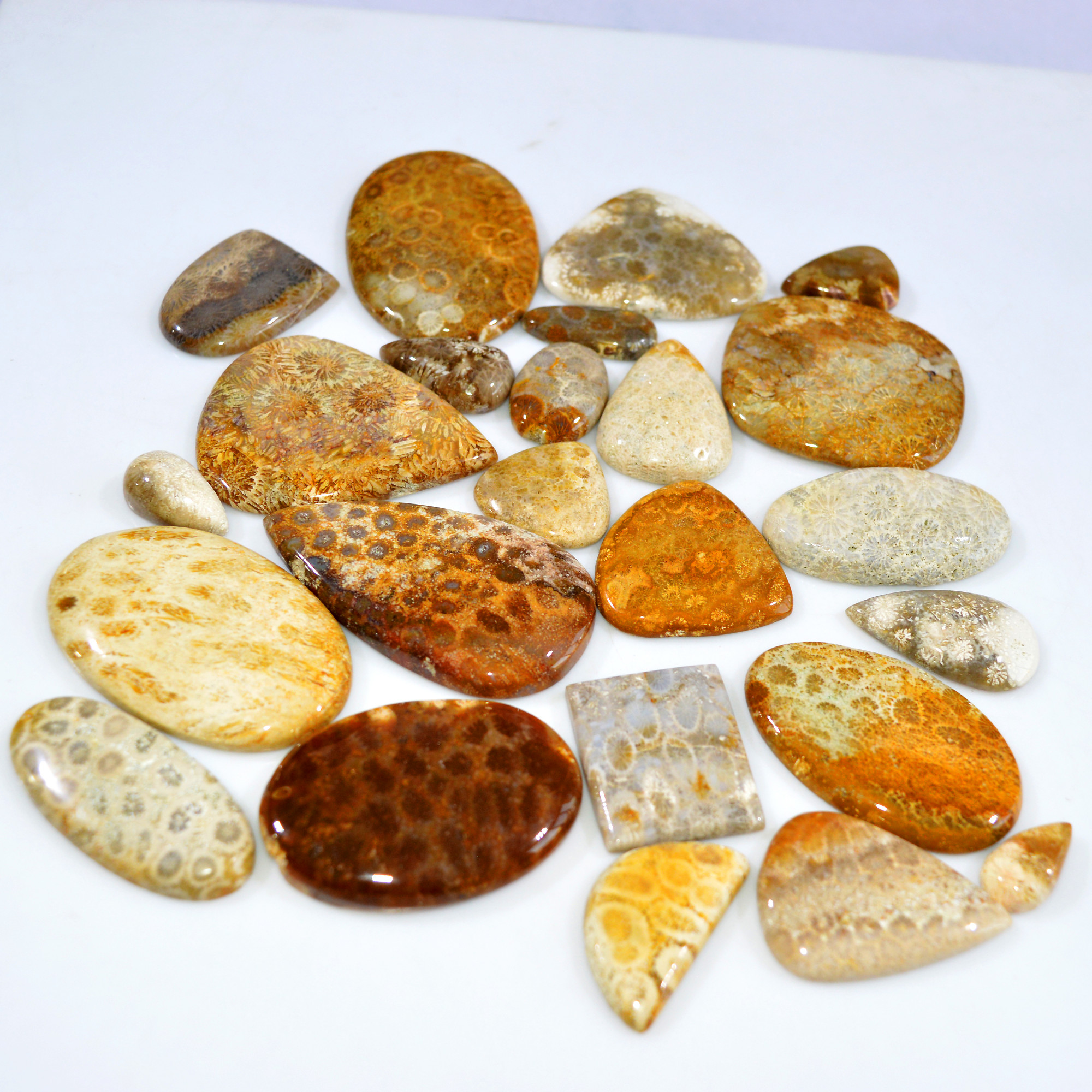 24Pcs 1017Ct Natural Fossil Coral Loose Cabochon Gemstone Lot Mixed Shapes For Pendants Handmade Jewelry Supplies 55x34 16x10mm 3144