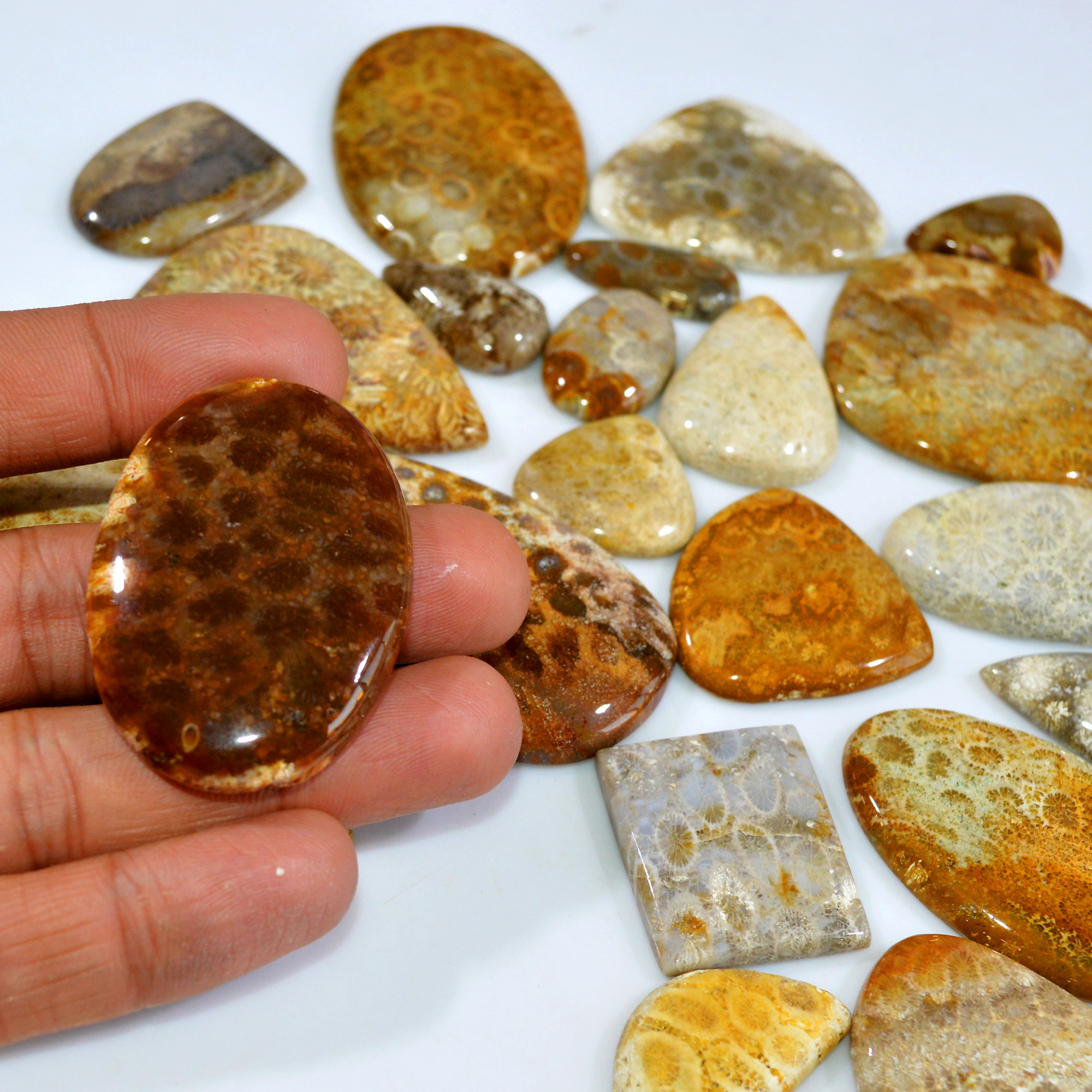24Pcs 1017Ct Natural Fossil Coral Loose Cabochon Gemstone Lot Mixed Shapes For Pendants Handmade Jewelry Supplies 55x34 16x10mm 3144