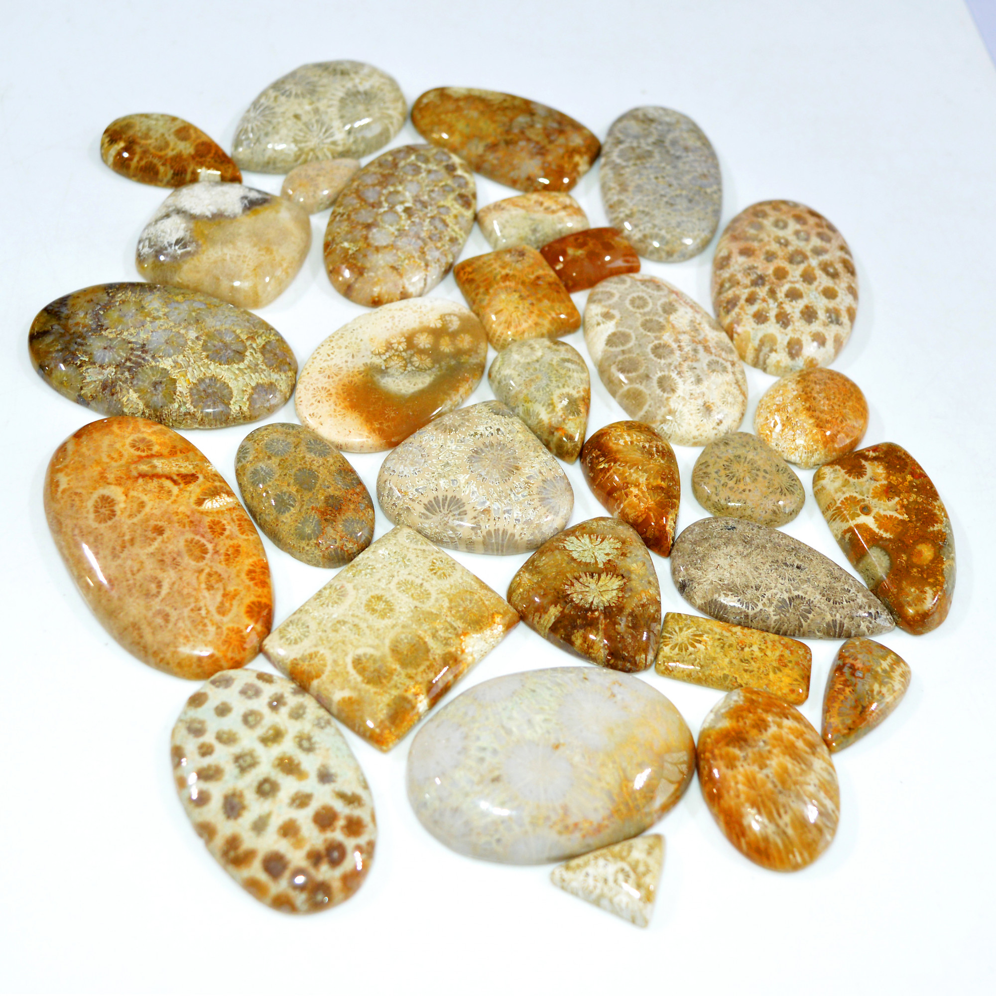 31Pcs 1142Ct Natural Fossil Coral Loose Cabochon Gemstone Lot Mixed Shapes For Pendants Handmade Jewelry Supplies 50x25 15x14mm 3145