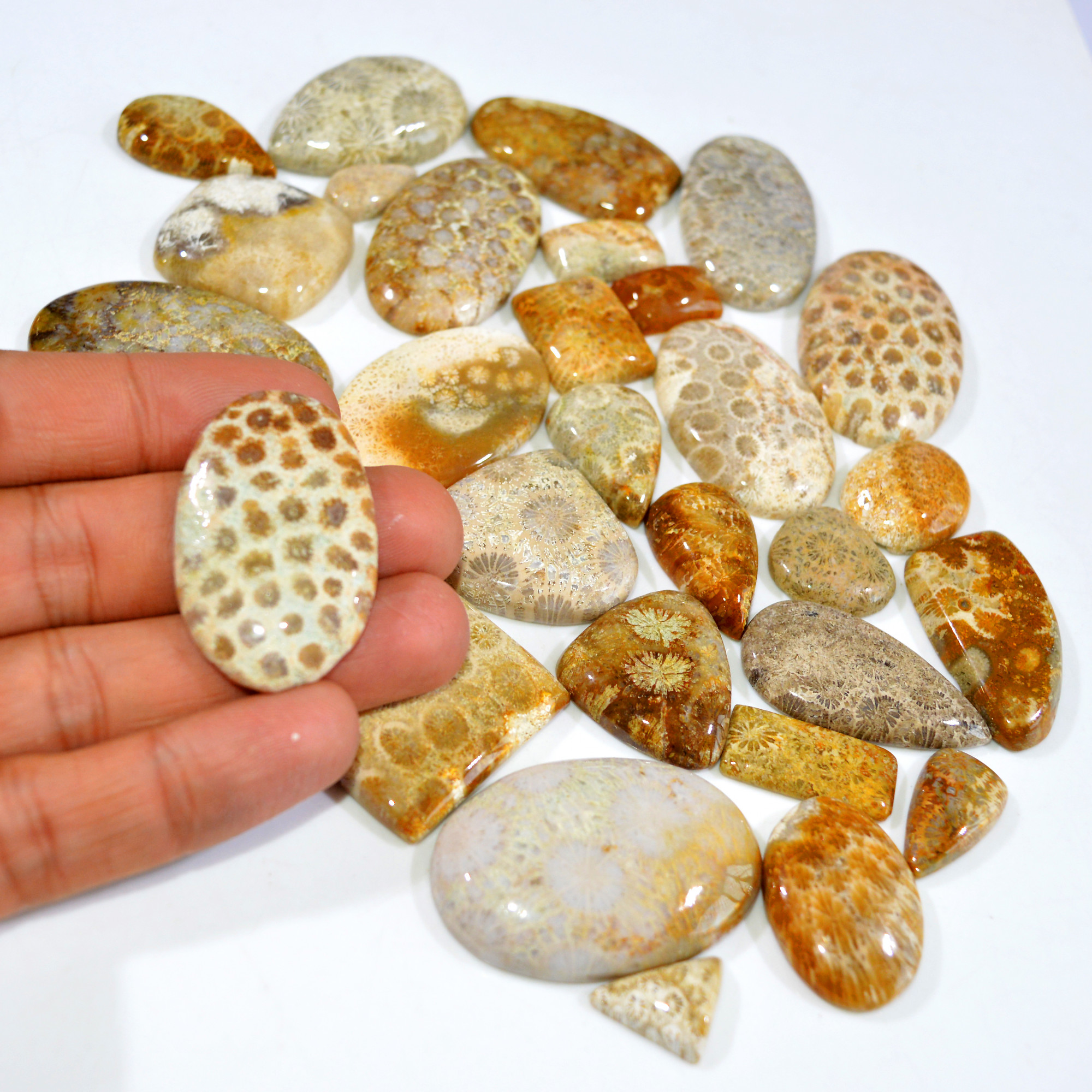31Pcs 1142Ct Natural Fossil Coral Loose Cabochon Gemstone Lot Mixed Shapes For Pendants Handmade Jewelry Supplies 50x25 15x14mm 3145